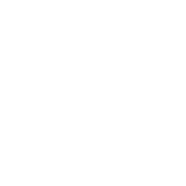 The Torque Rally