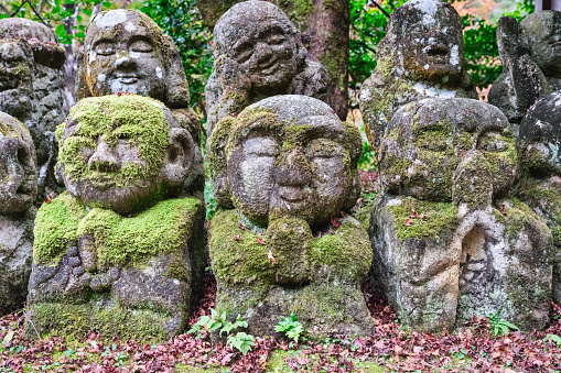 Page Hero Background Image