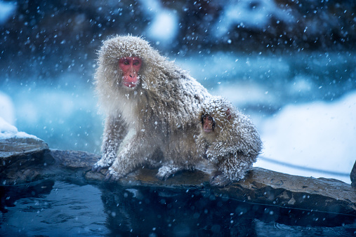 Blog Thumbnail Image