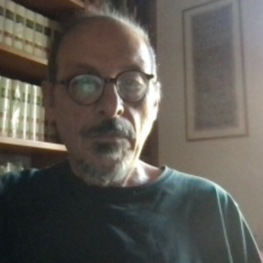 Ritratto di dott. Massimo Ballerini