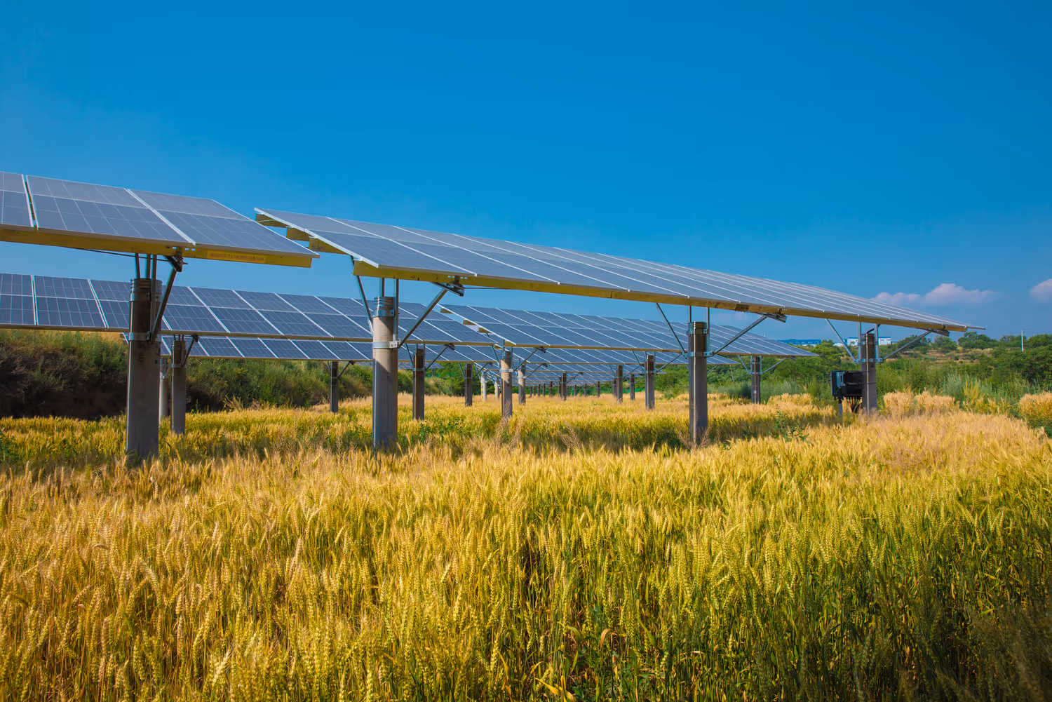 Angled LONGi Hi-MO 9 modules installed in a field for optimized solar performance