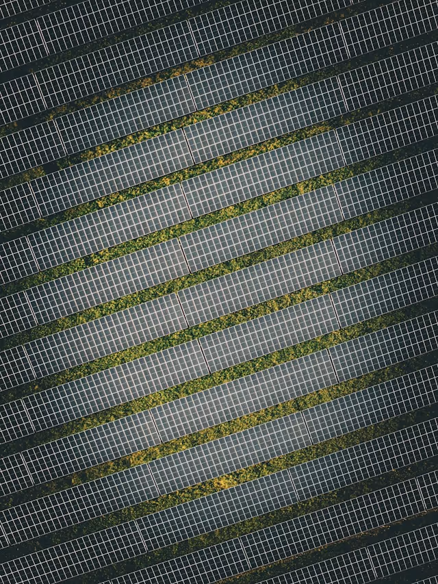 Aerial view of densely arranged solar panel rows with green vegetation strips between them, illustrating the high energy yield and land-use efficiency achieved by LONGi's high-efficiency module platforms such as Hi-MO X10.