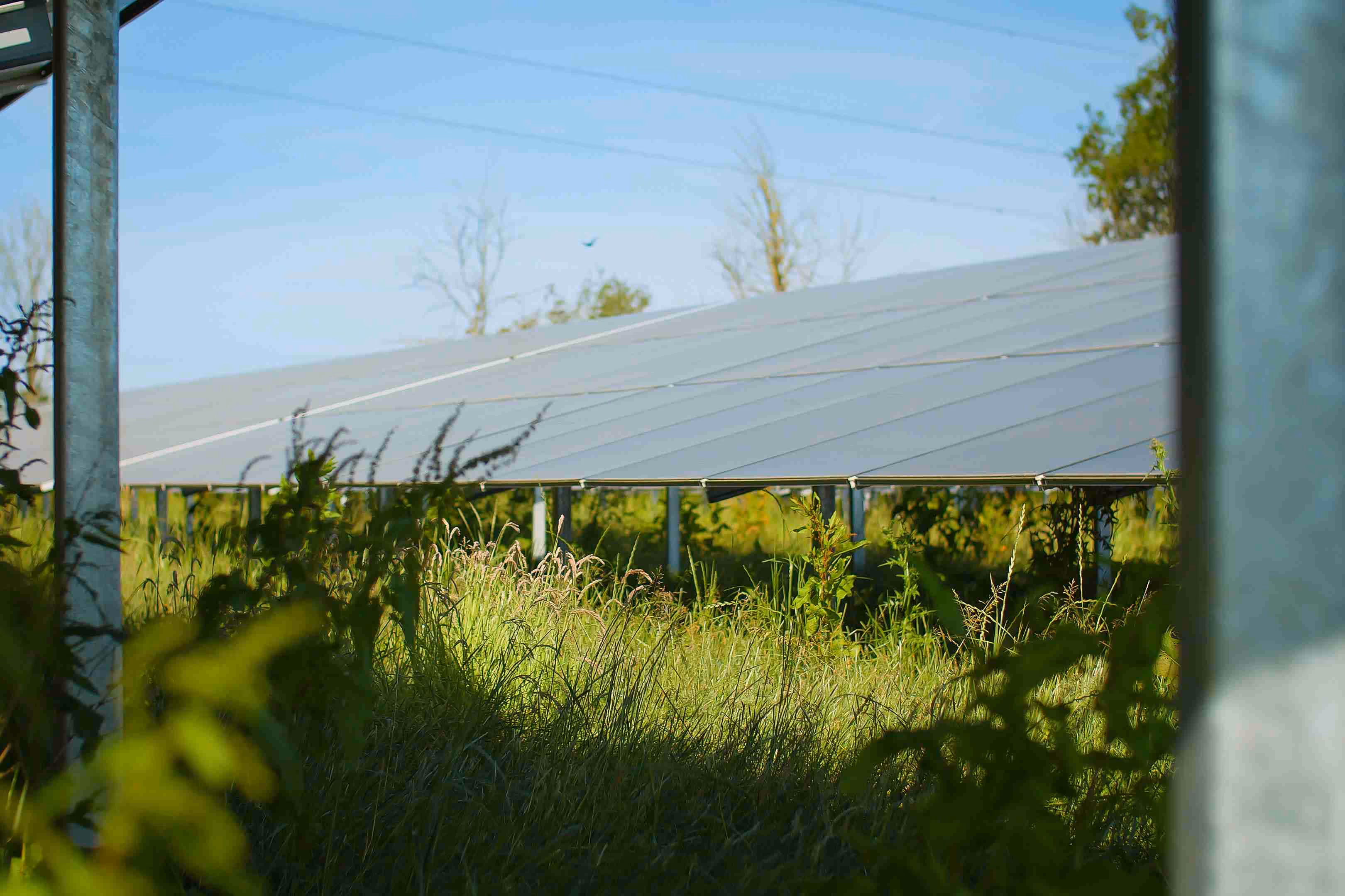 LONGi alimenta il primo progetto solare Back Contact del Regno Unito nell'ambito di una storica partnership con Cero Generation