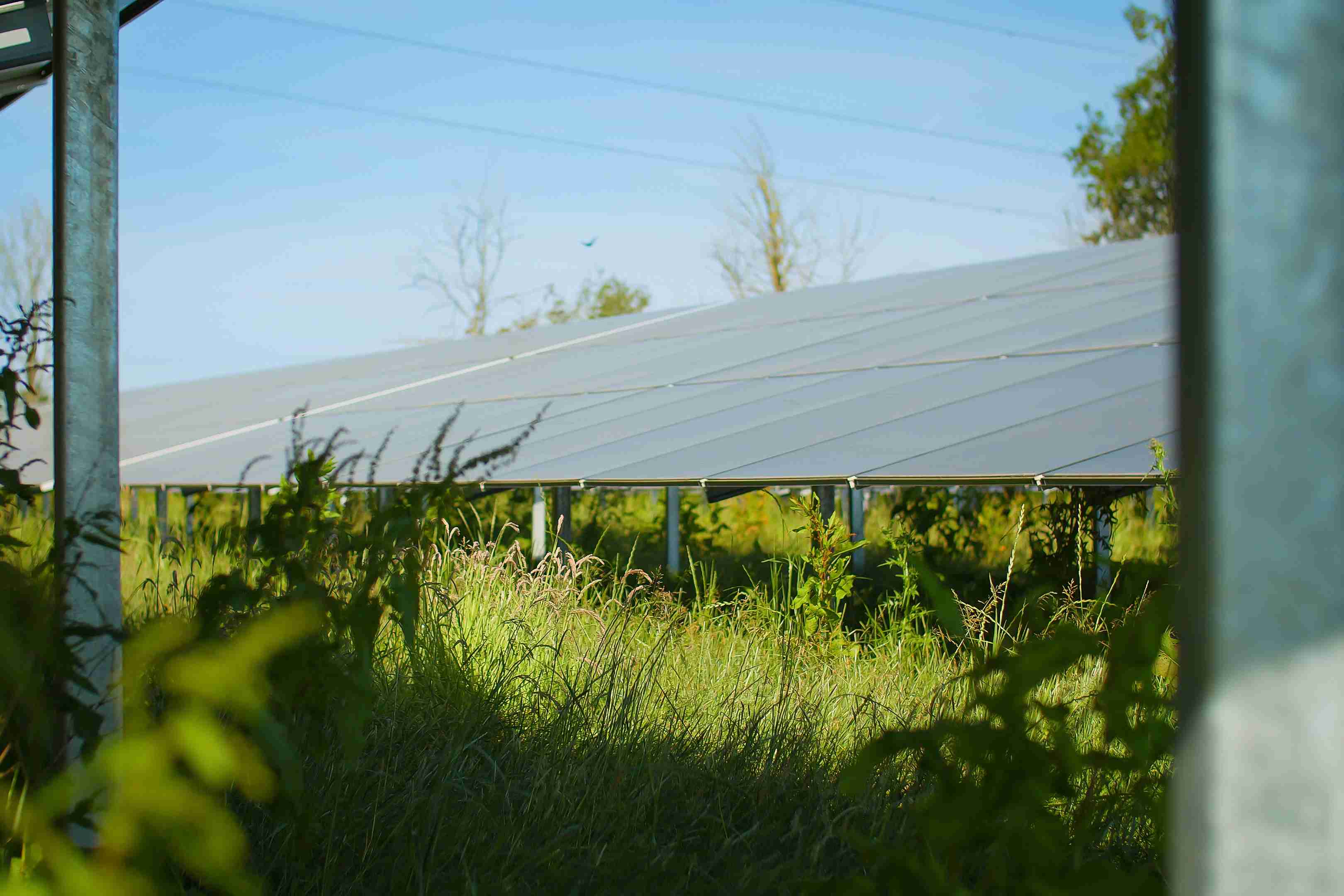LONGi Powers UK's First Back Contact Solar Project in Landmark Cero Generation Partnership
