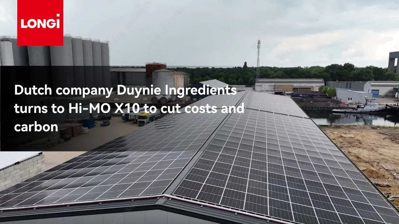 Duynie Ingredients transforms its Nijmegen facility with LONGi back contact modules as C&I businesses across the Netherlands increasingly leverage