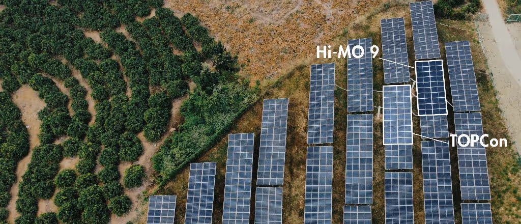 LONGi Libera Dados de Campo da Tecnologia BC Global: Desempenho e Confiabilidade Superam Expectativas