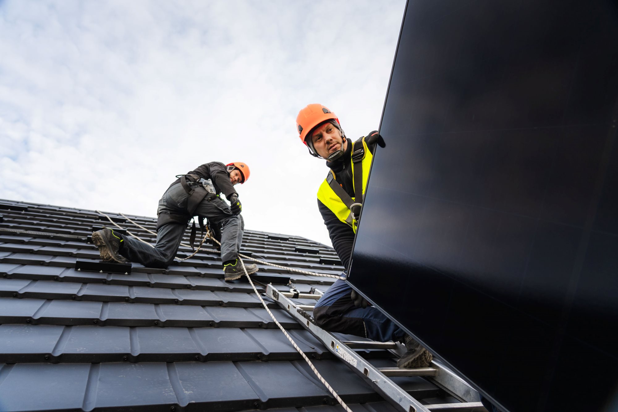 Siedem lat pracy instalacji i ponowny wybór modułów LONGi przez inwestora z Warki