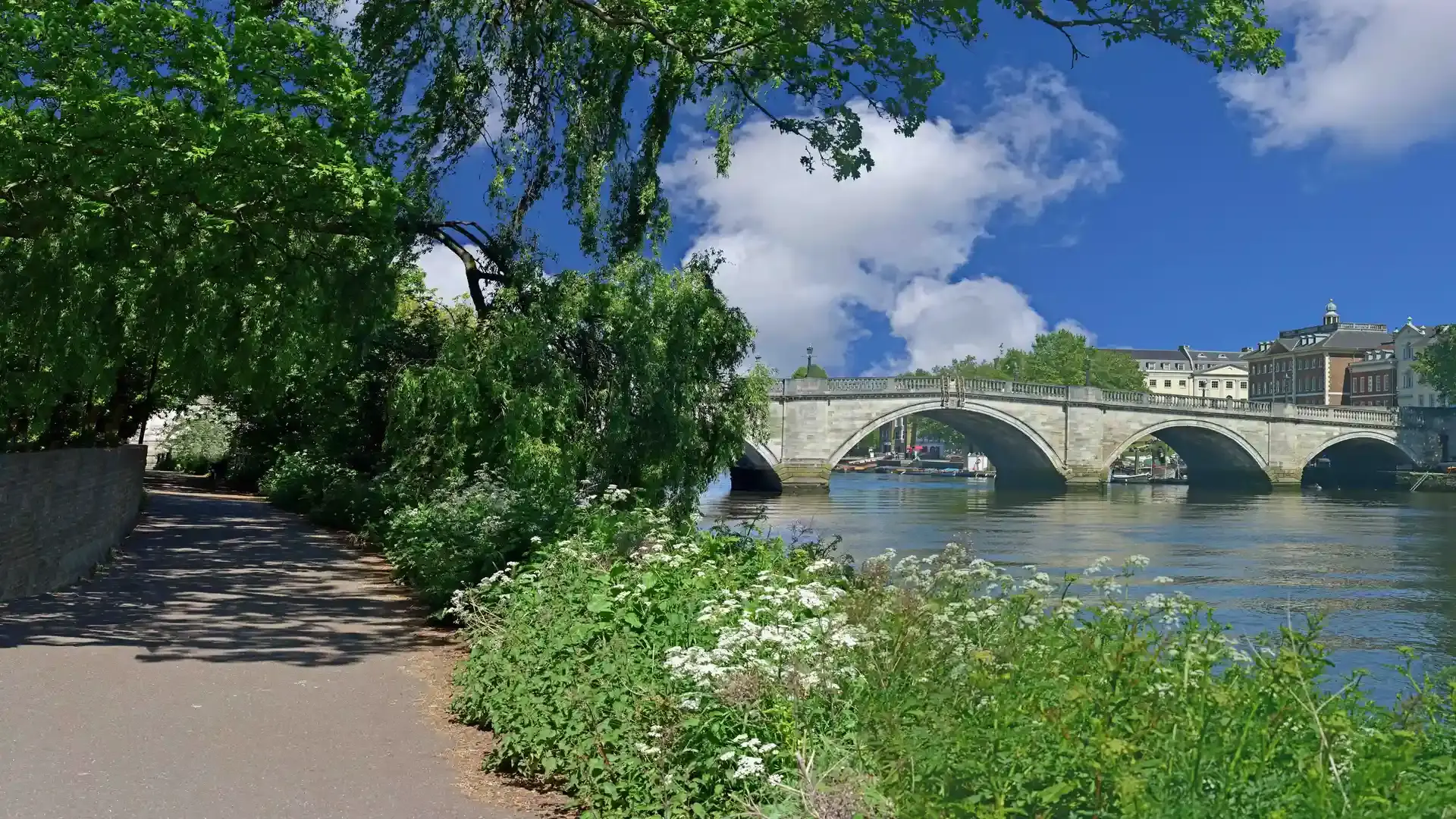 Leafy riverside footpath beside the Thames near Richmond Bridge, with historic buildings and bright blue sky in the background.