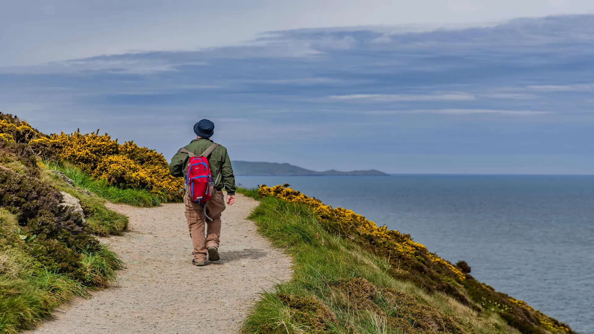 Hiker walking a clifftop trail above the sea on Ireland’s East Coast, with yellow gorse, grassy slopes, and distant headlands under a soft sky.