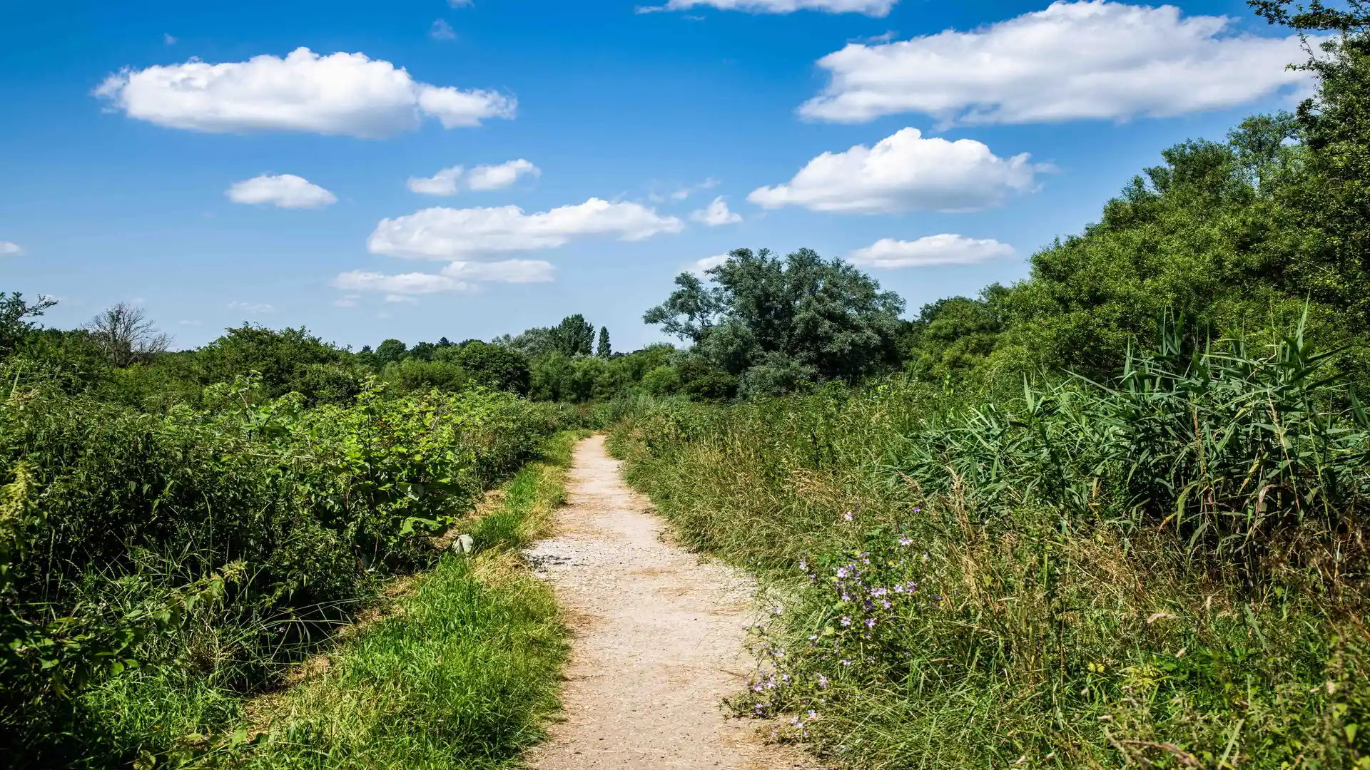 Footpath bridge on river Stour from Flatford to Manning Tree.