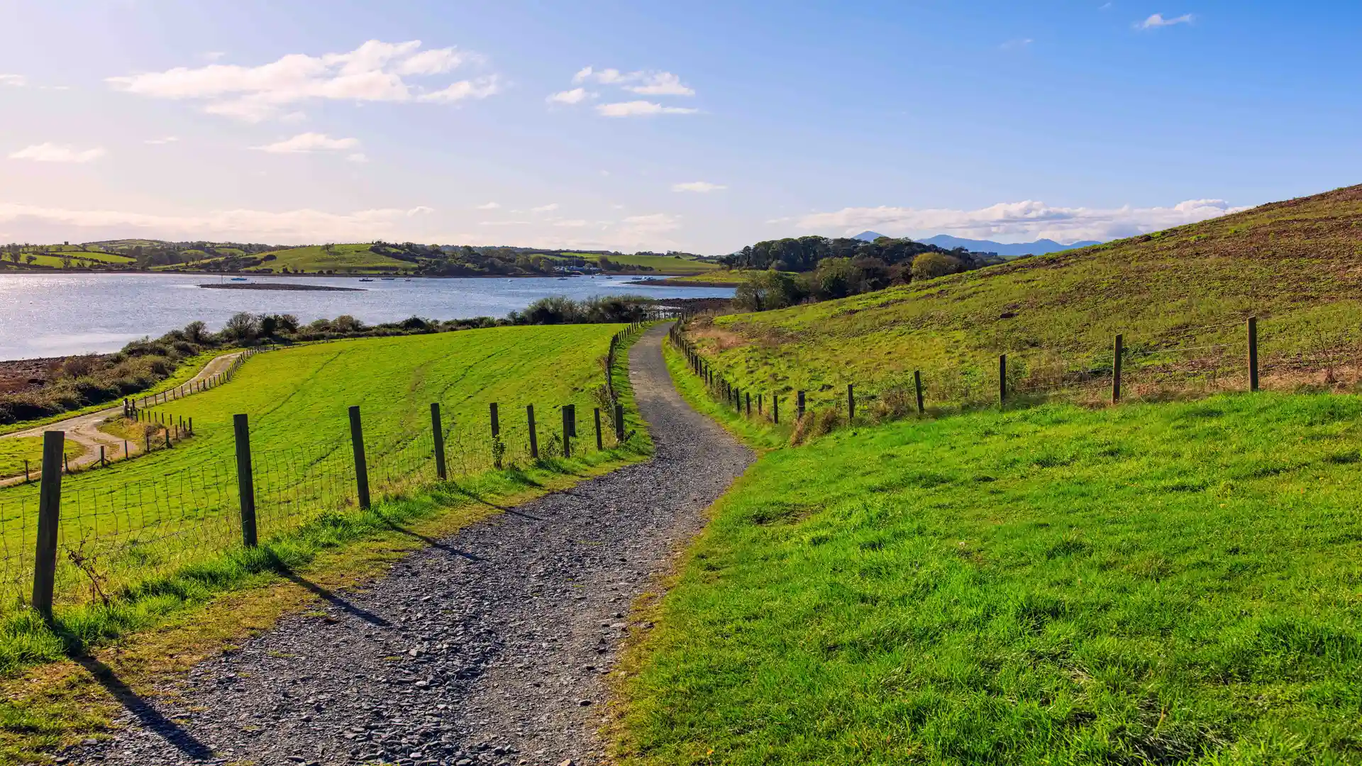 Gravel walking path through green fields beside Strangford Lough, with rolling hills and blue sky in the background.