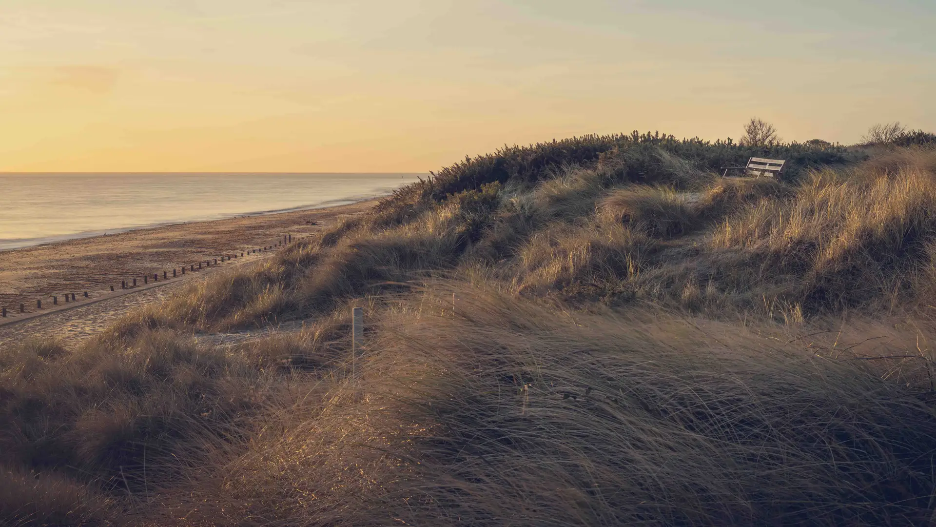 Grassy dunes and a sandy beach at Caister-on-Sea at sunset, with a wooden bench overlooking the shoreline along the Norfolk Coast Path.