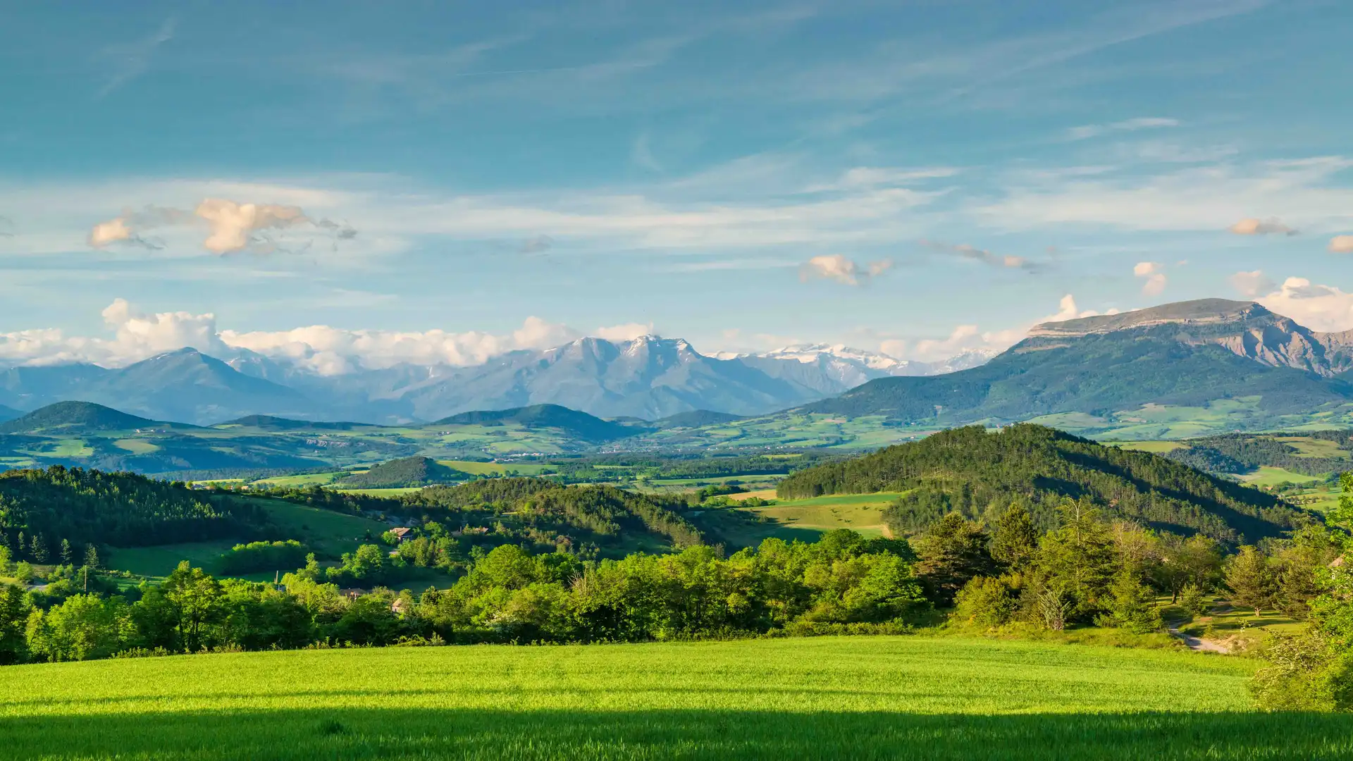 Panoramic view of the French countryside with forested hills, distant snow-capped Alps, and a walking path through green fields in Provence.