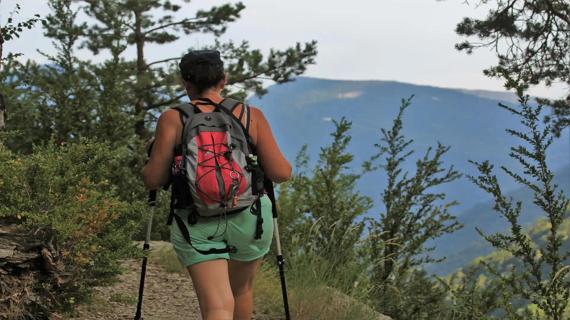 Woman hiking with trekking poles along a forested trail in the Luberon, Provence, with mountain views in the distance.