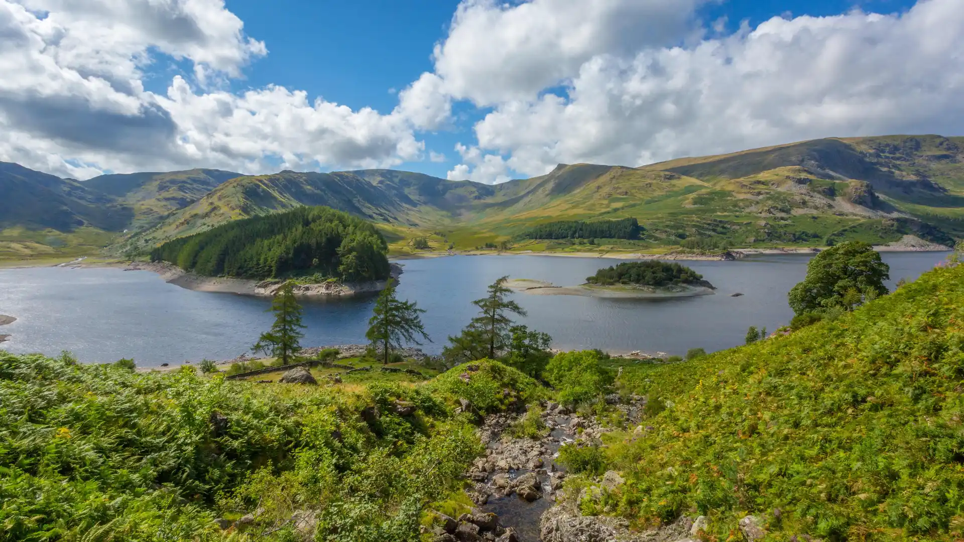 View across Haweswater Reservoir in the Lake District, with wooded islands, surrounding fells, and bright green slopes under a blue sky with scattered clouds.