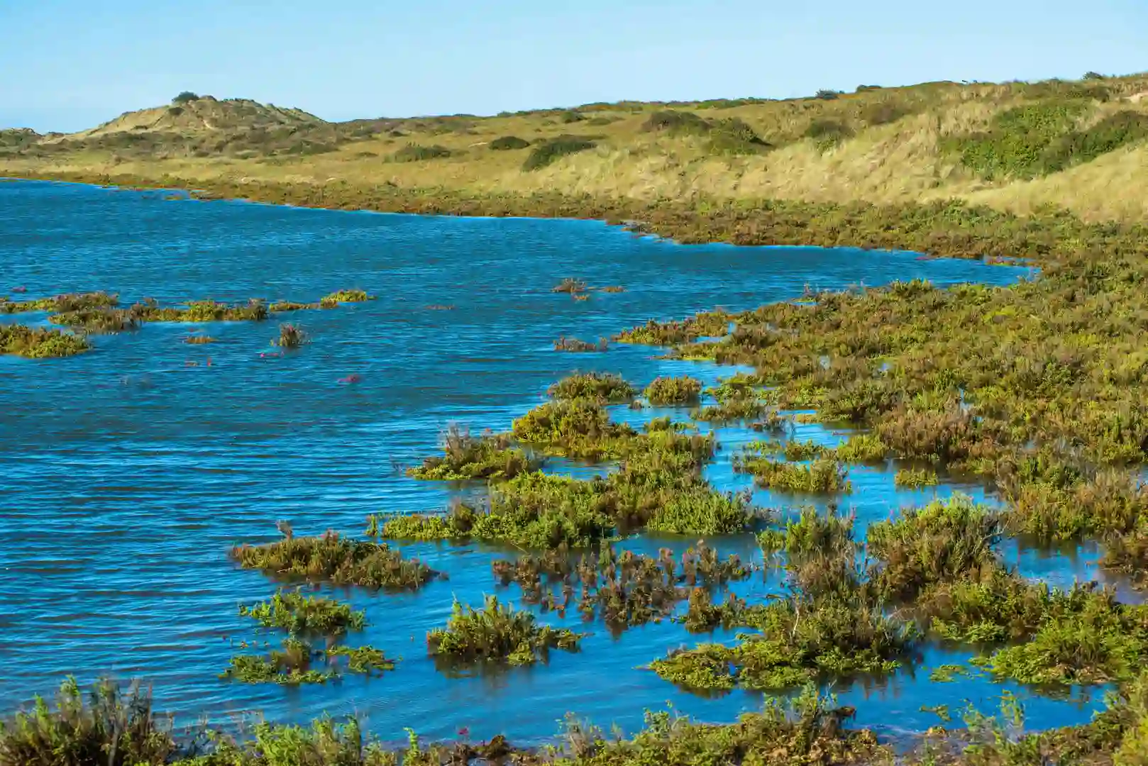 Coastal saltmarsh on the Norfolk Coast with tidal waters, green vegetation, and sandy dunes in the background under a clear blue sky.