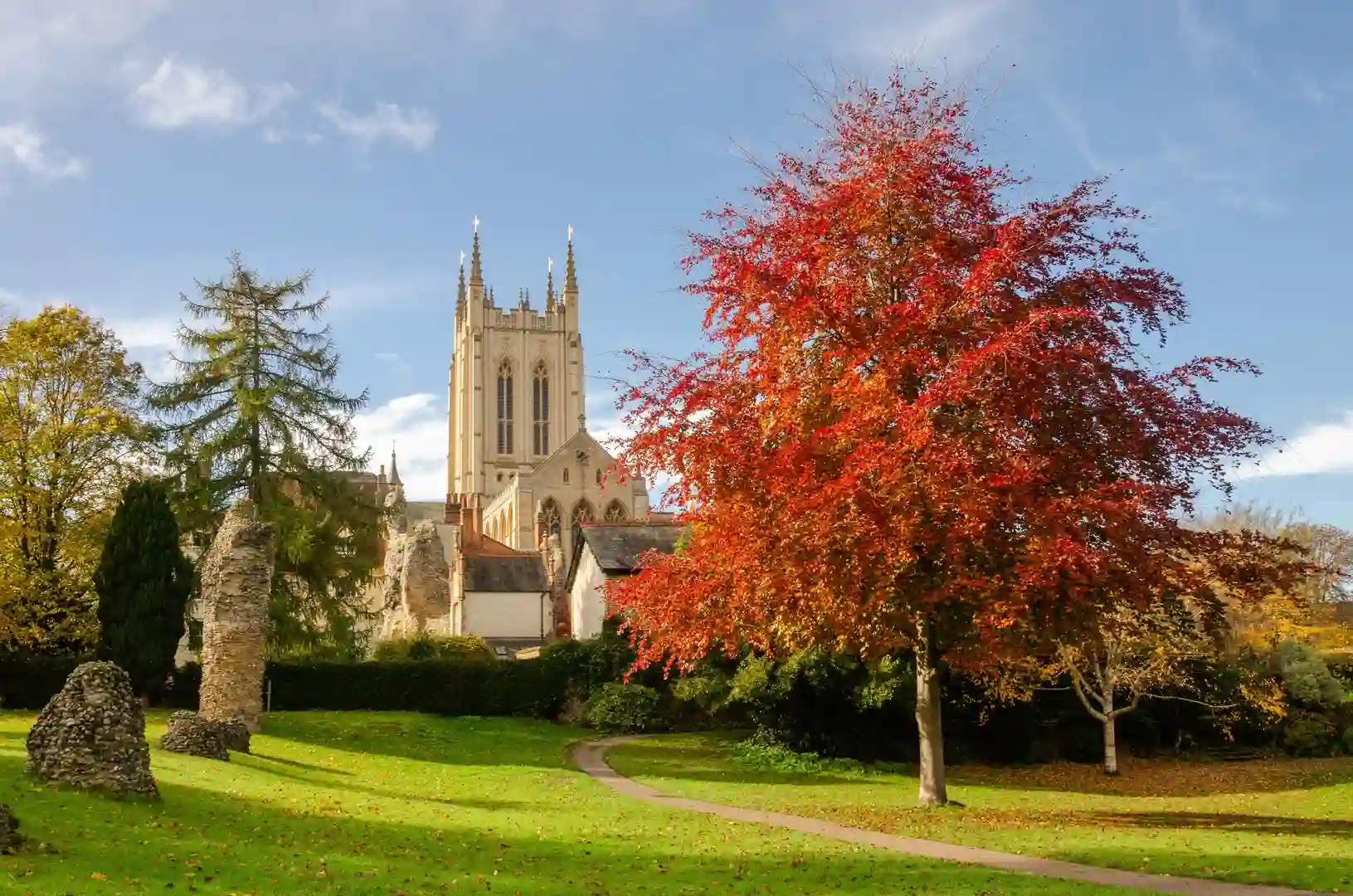 Autumn colours in Bury St Edmunds Abbey Gardens, with a red-leaved tree in front of the cathedral tower under a blue sky.
