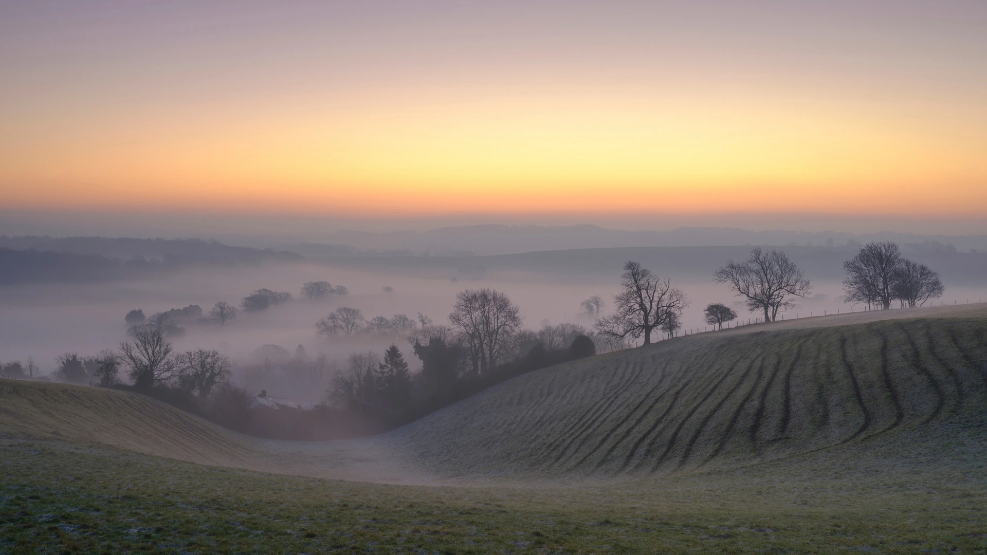 A misty sunrise over rolling chalk hills in Hampshire, with bare winter trees silhouetted against a pastel sky.