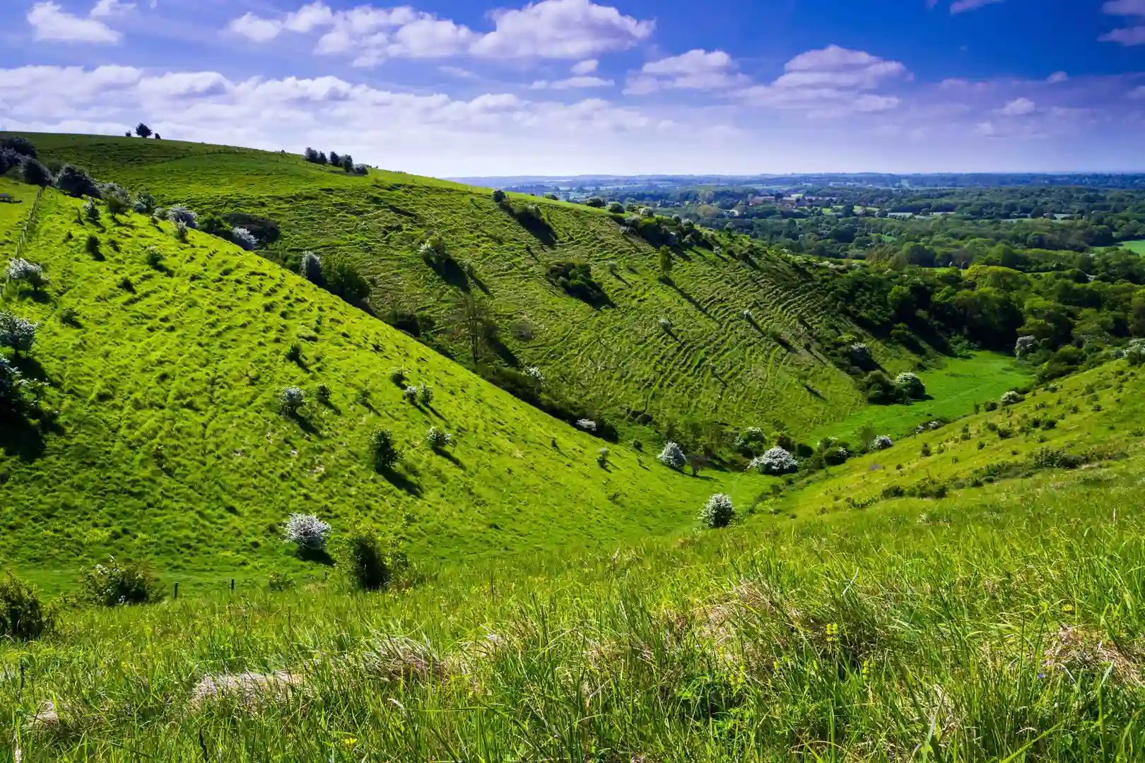 A bright sunny spring down on the Kent downs near wye looking down the valley at Devils Kneeding trough south east England