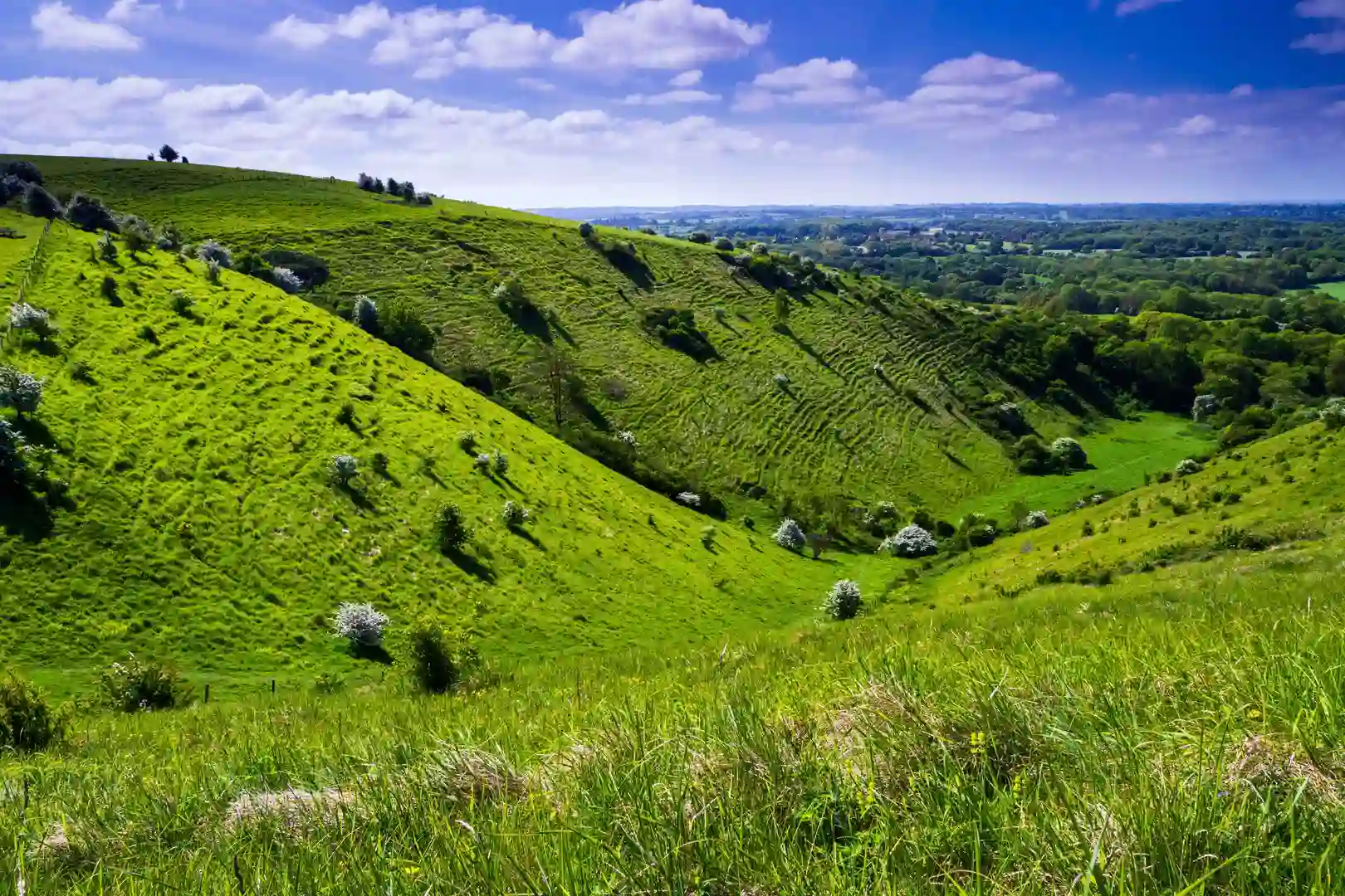 A bright sunny spring down on the Kent downs near wye looking down the valley at Devils Kneeding trough south east England