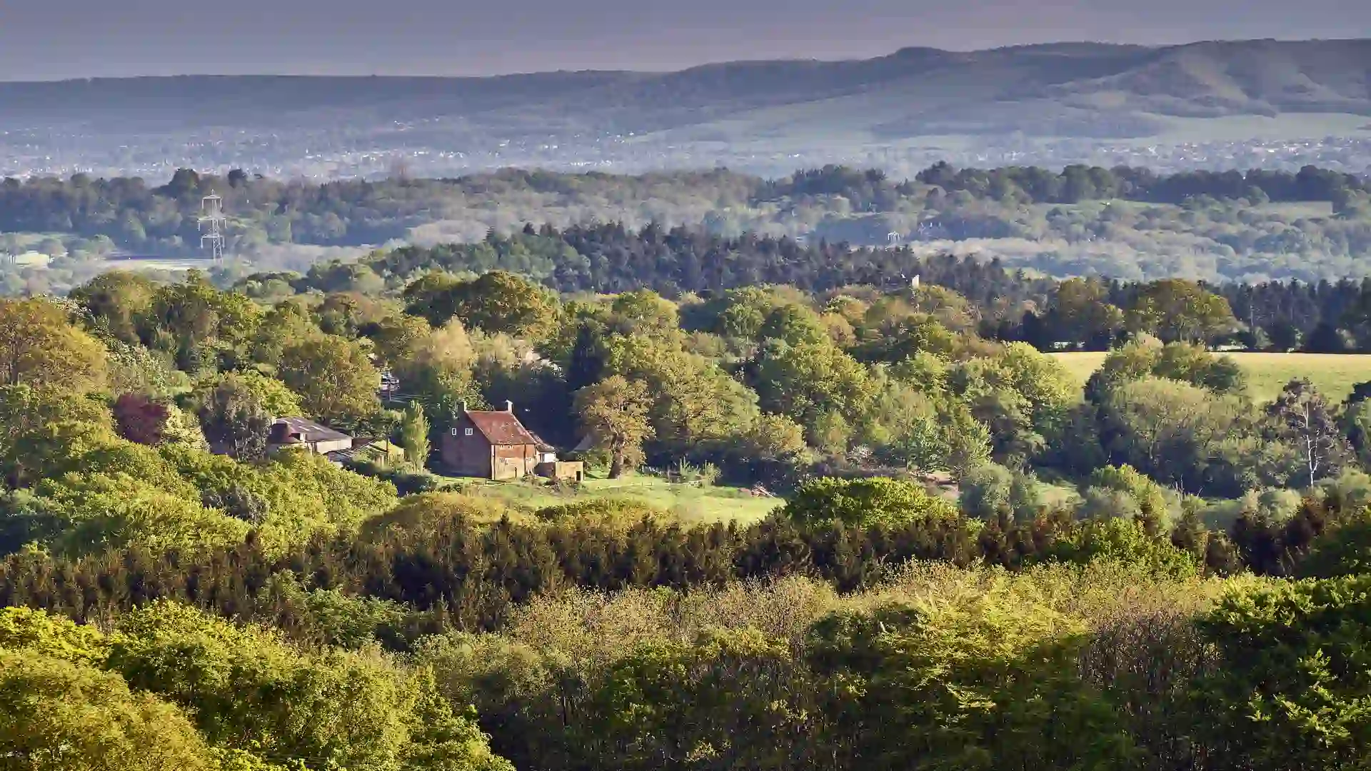 A view across the rolling green hills and dense woodland of the High Weald National Landscape, with scattered farmhouses and the South Downs ridge visible in the distance.