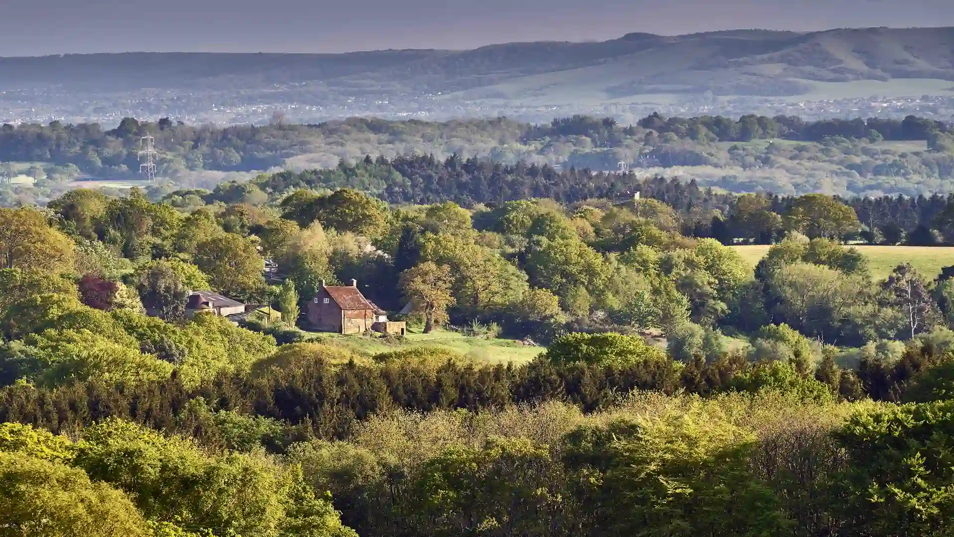 A view across the rolling green hills and dense woodland of the High Weald National Landscape, with scattered farmhouses and the South Downs ridge visible in the distance.