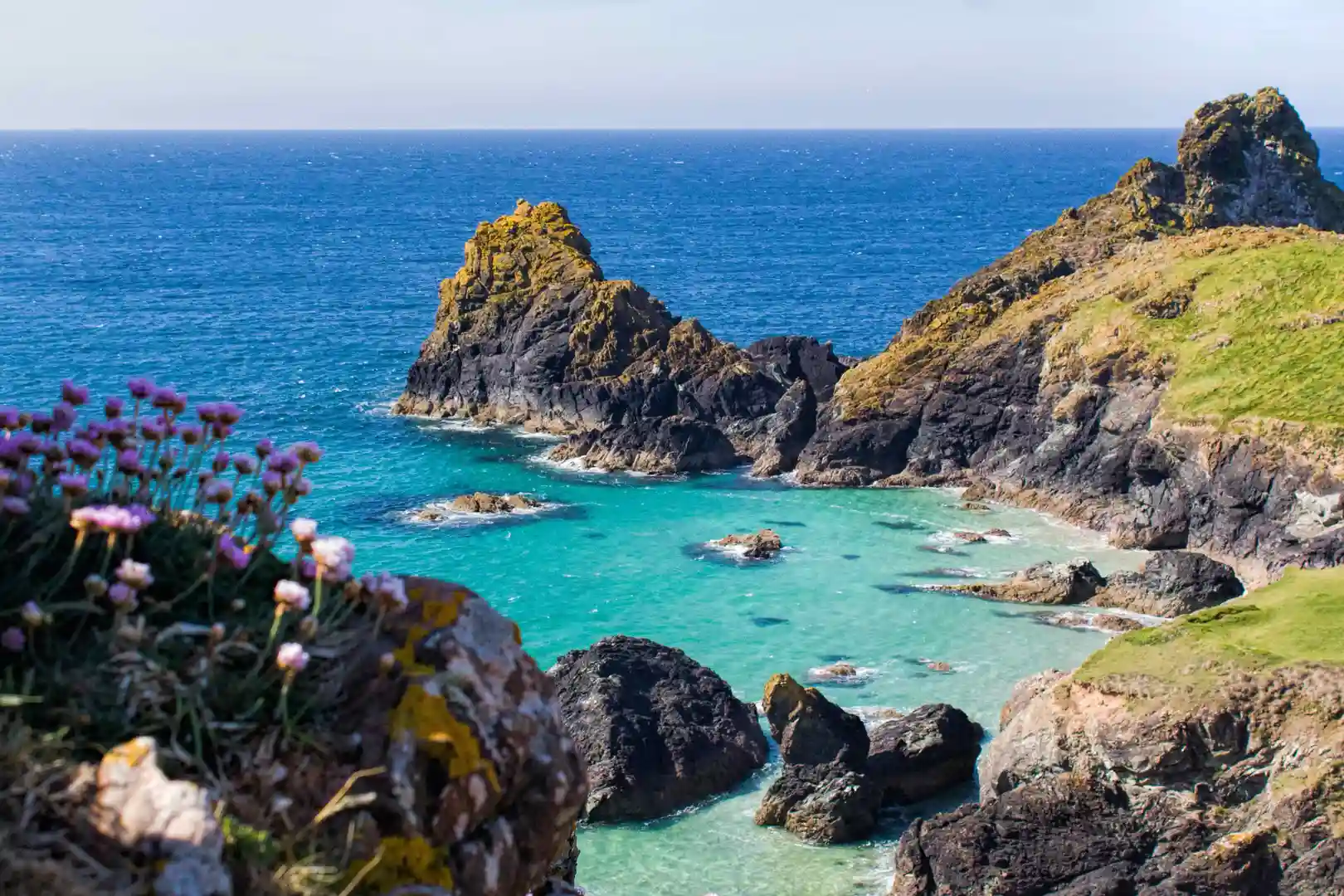 Turquoise sea and rugged cliffs at Kynance Cove on the Lizard Peninsula, part of Cornwall National Landscape, with wildflowers in the foreground.
