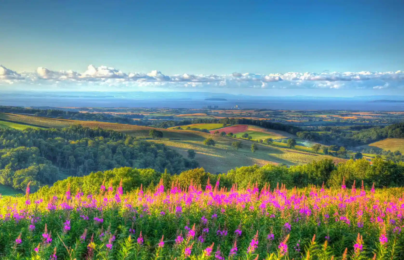 View across the Quantock Hills National Landscape in Somerset with summer wildflowers, rolling farmland, and distant sea views.