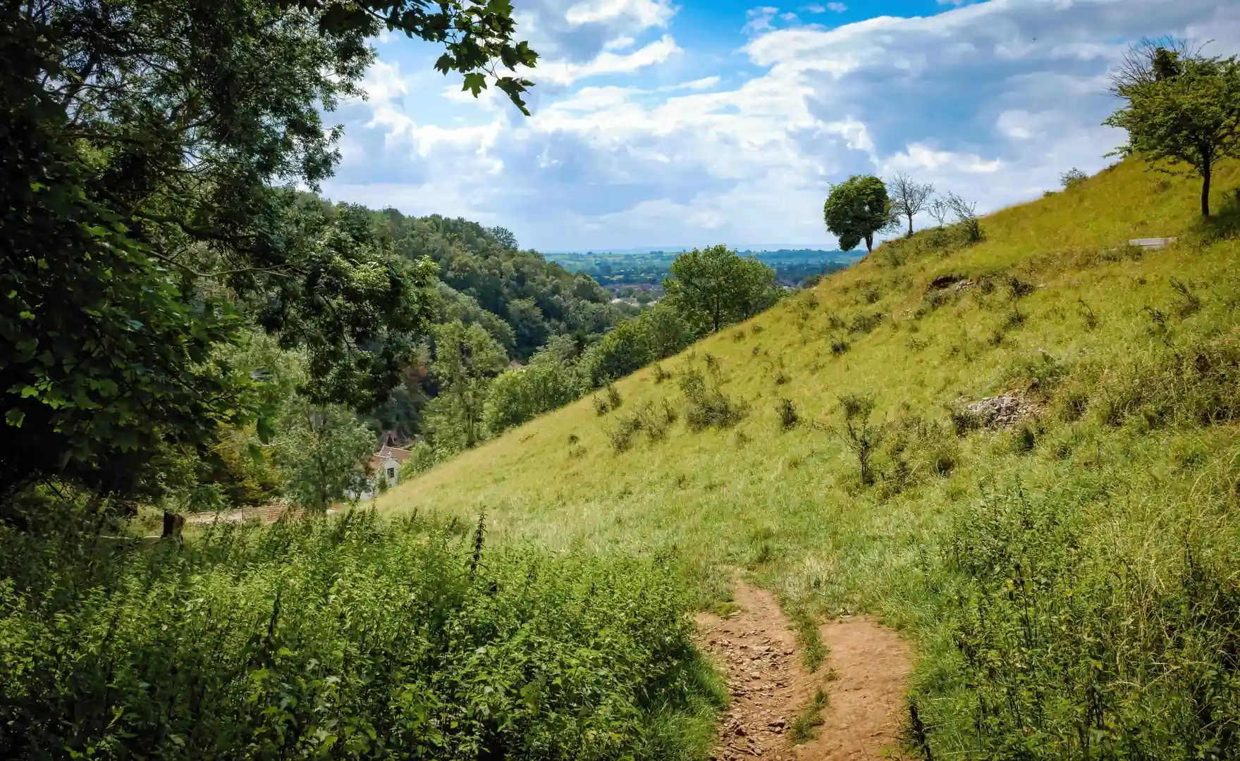 Walking trail through grassy slopes and woodland in the Mendip Hills National Landscape, Somerset, with views across the countryside.