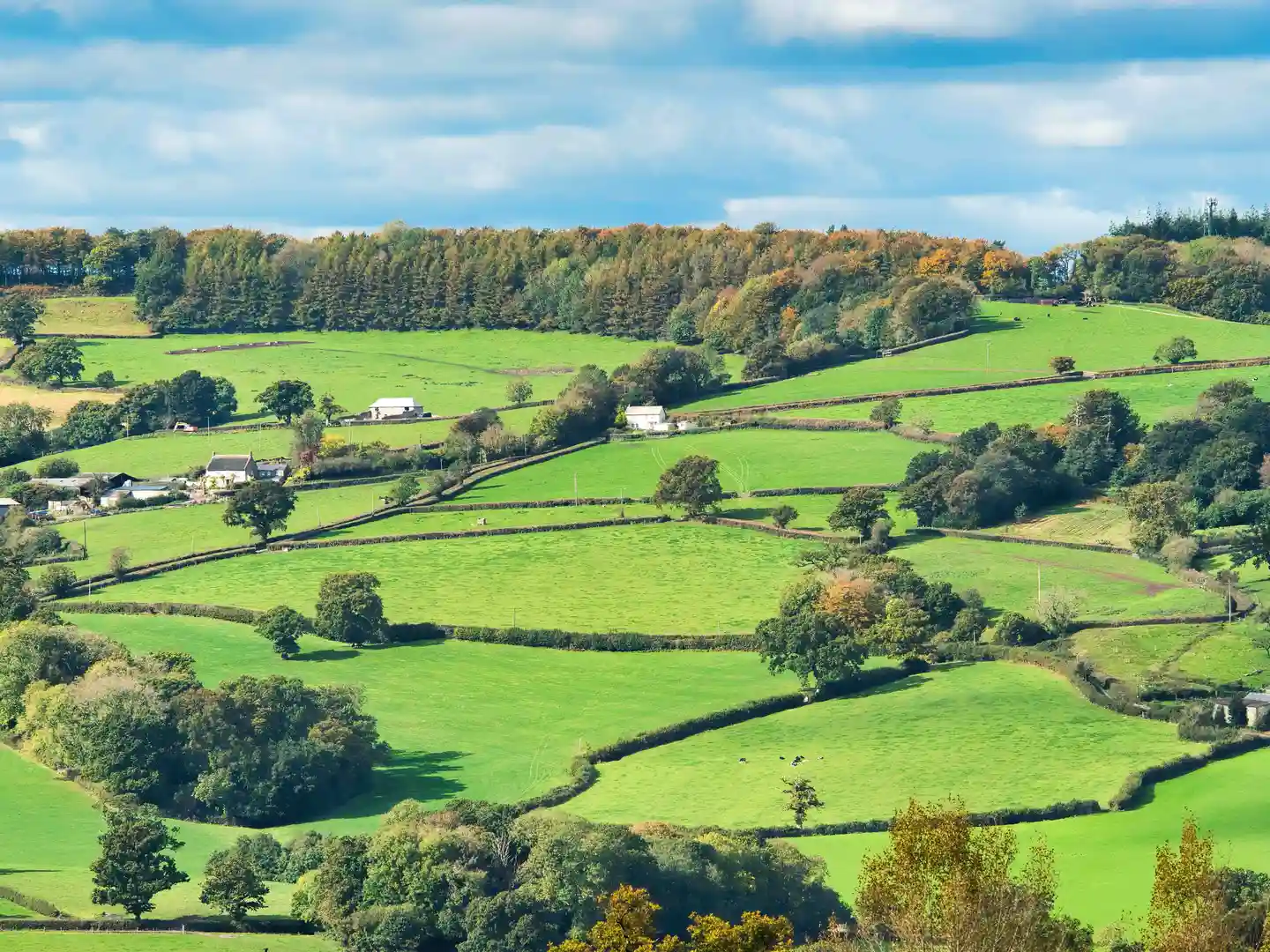 Patchwork of green fields, farms, and woodland in the Blackdown Hills National Landscape on the Somerset–Devon border.