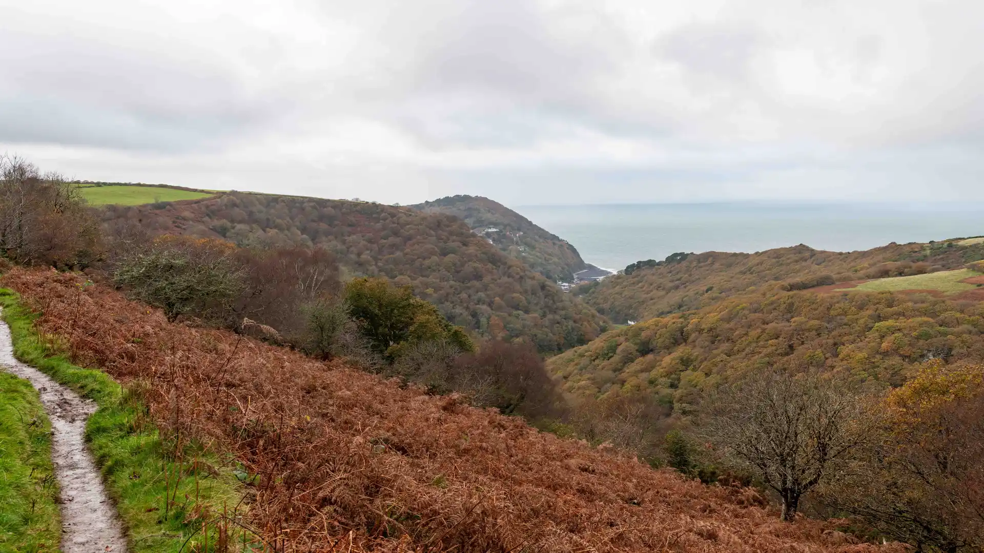 Autumn colours over Countisbury Hill and Watersmeet Valley in Exmoor National Park, at the start of the Two Moors Way in North Devon.