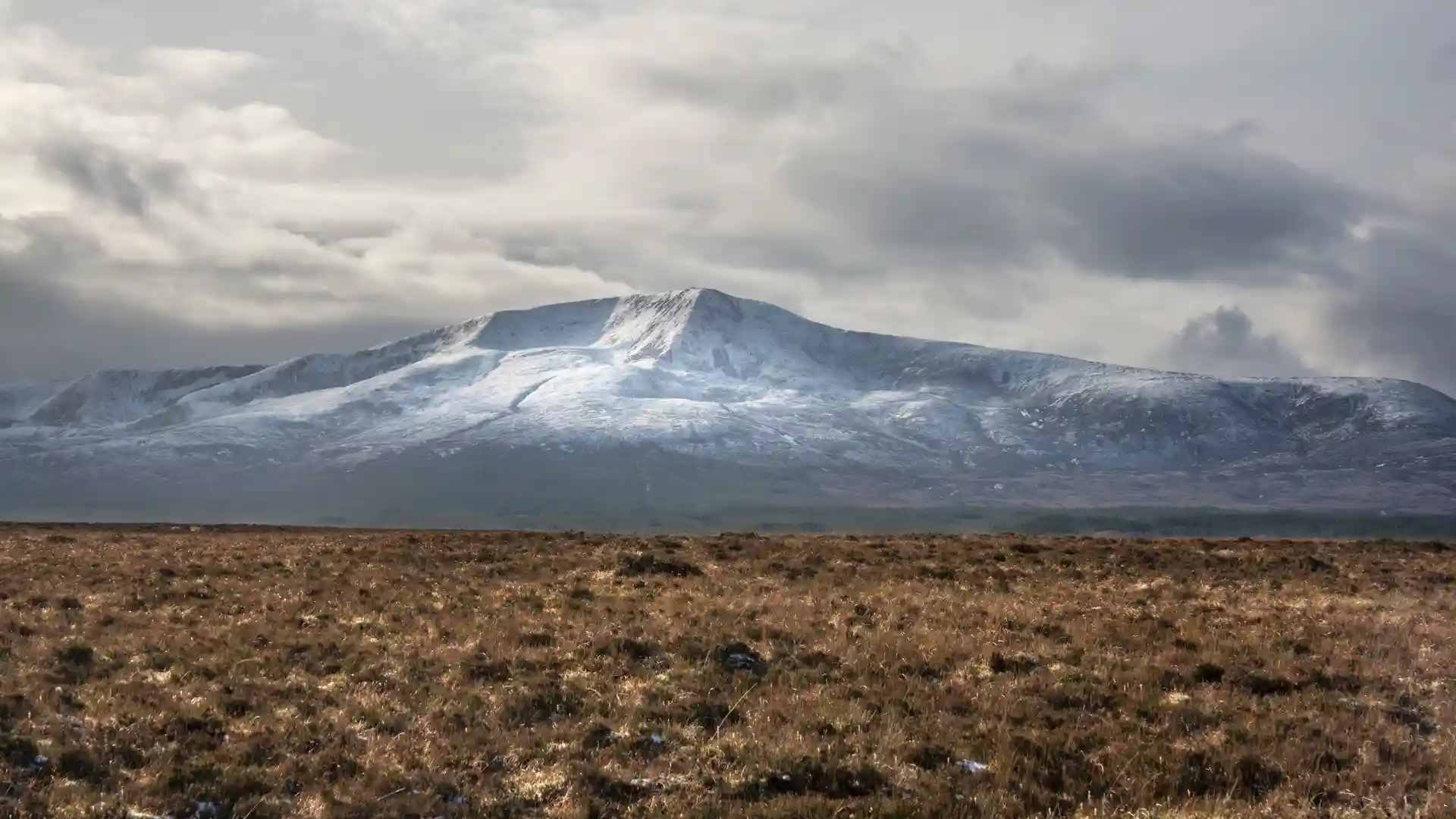 Snow-capped Nephin Beg mountain rising above open blanket bog in Wild Nephin (Ballycroy) National Park, County Mayo, Ireland, under moody skies.