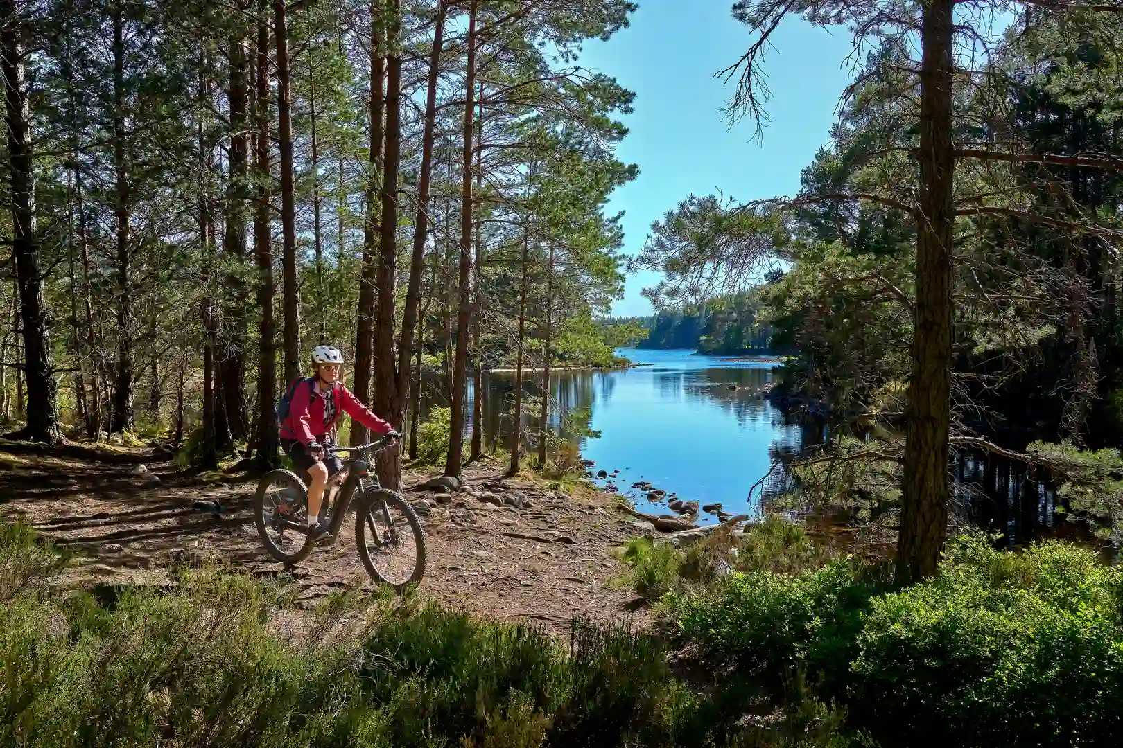 Cyclist on a forest trail near a loch in the Cairngorms National Park, Scotland, surrounded by pine trees and mountain scenery.