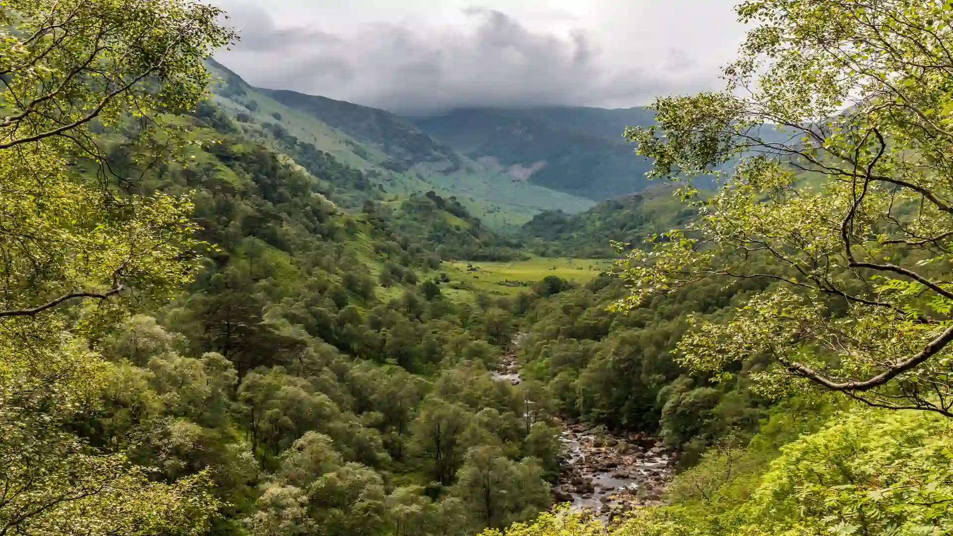 View through the lush green valley of Glen Nevis in Lochaber, Scottish Highlands, with a river winding through forested slopes beneath low mountain clouds.