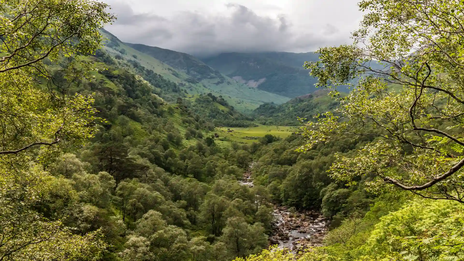 View through the lush green valley of Glen Nevis in Lochaber, Scottish Highlands, with a river winding through forested slopes beneath low mountain clouds.