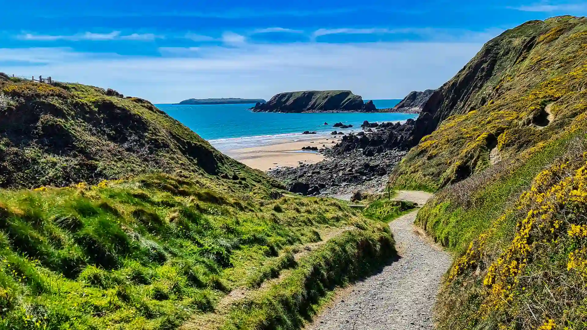 Coastal path descending toward Mwnt Beach on the Pembrokeshire Coast Path, with cliffs, wildflowers, and blue sea under a clear sky in West Wales.