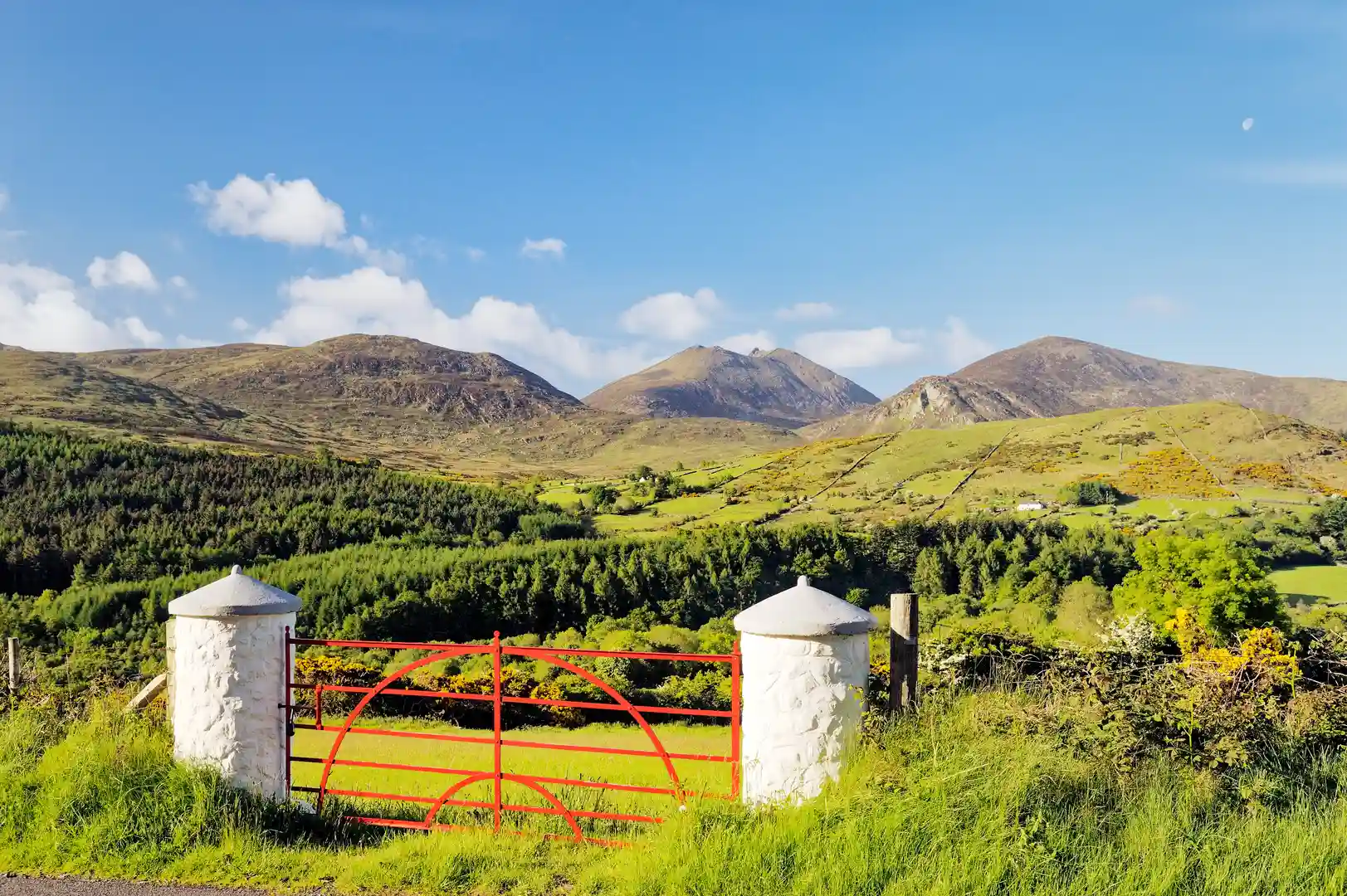 View of the Mourne Mountains in County Down, Northern Ireland, with a red farm gate in the foreground and green hills rising towards the peaks under a bright blue sky — a classic landscape for walking holidays and outdoor adventures.