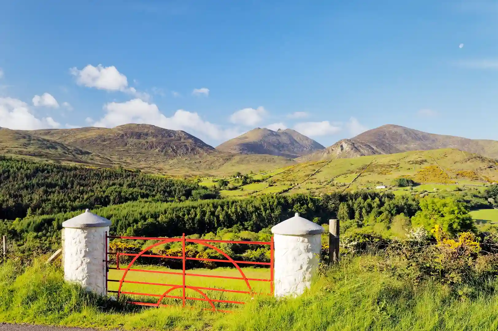 View of the Mourne Mountains in County Down, Northern Ireland, with a red farm gate in the foreground and green hills rising towards the peaks under a bright blue sky — a classic landscape for walking holidays and outdoor adventures.