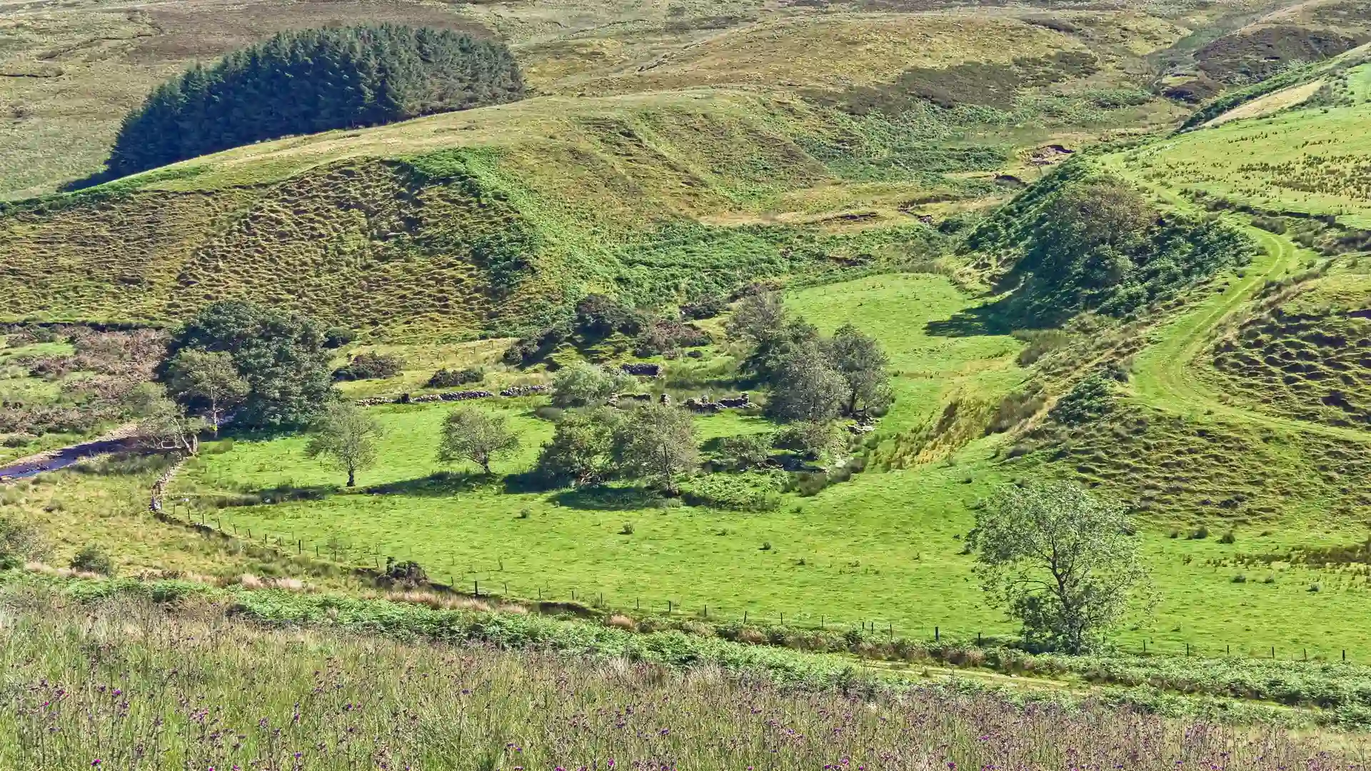Green hills and winding valleys in the Sperrin Mountains National Landscape, Northern Ireland’s largest upland area known for walking trails and outdoor adventures.