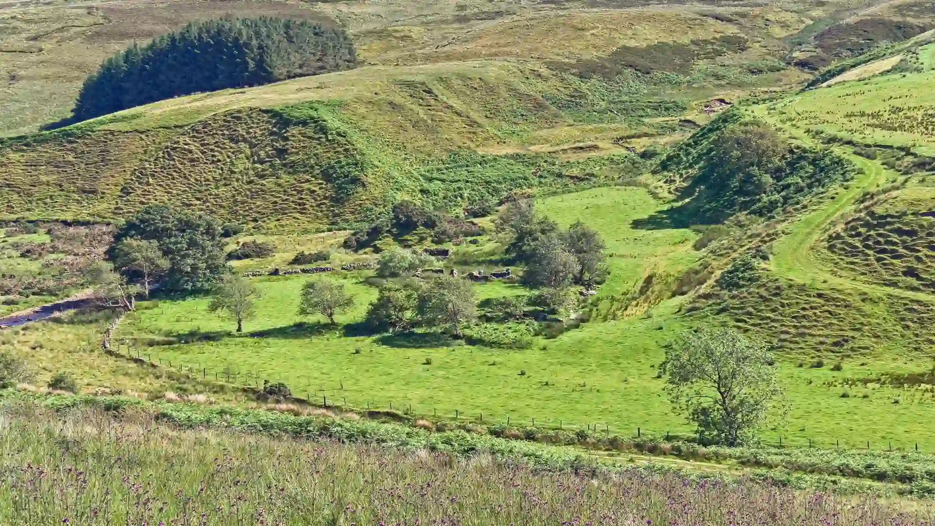 Green hills and winding valleys in the Sperrin Mountains National Landscape, Northern Ireland’s largest upland area known for walking trails and outdoor adventures.
