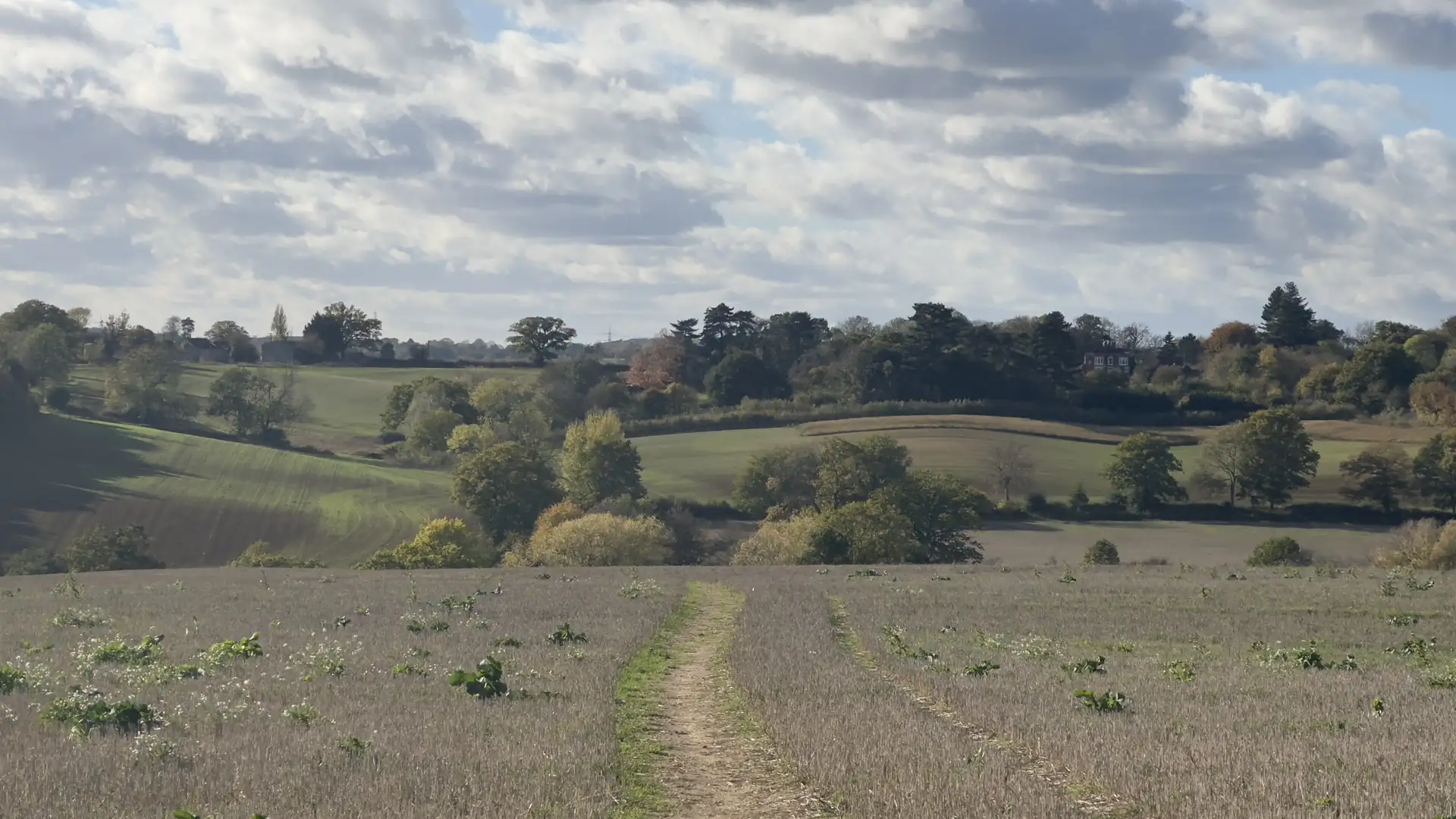 A footpath winding through rolling farmland and wooded hills in the Dedham Vale National Landscape on an autumn afternoon, highlighting the area’s peaceful rural scenery and natural beauty.