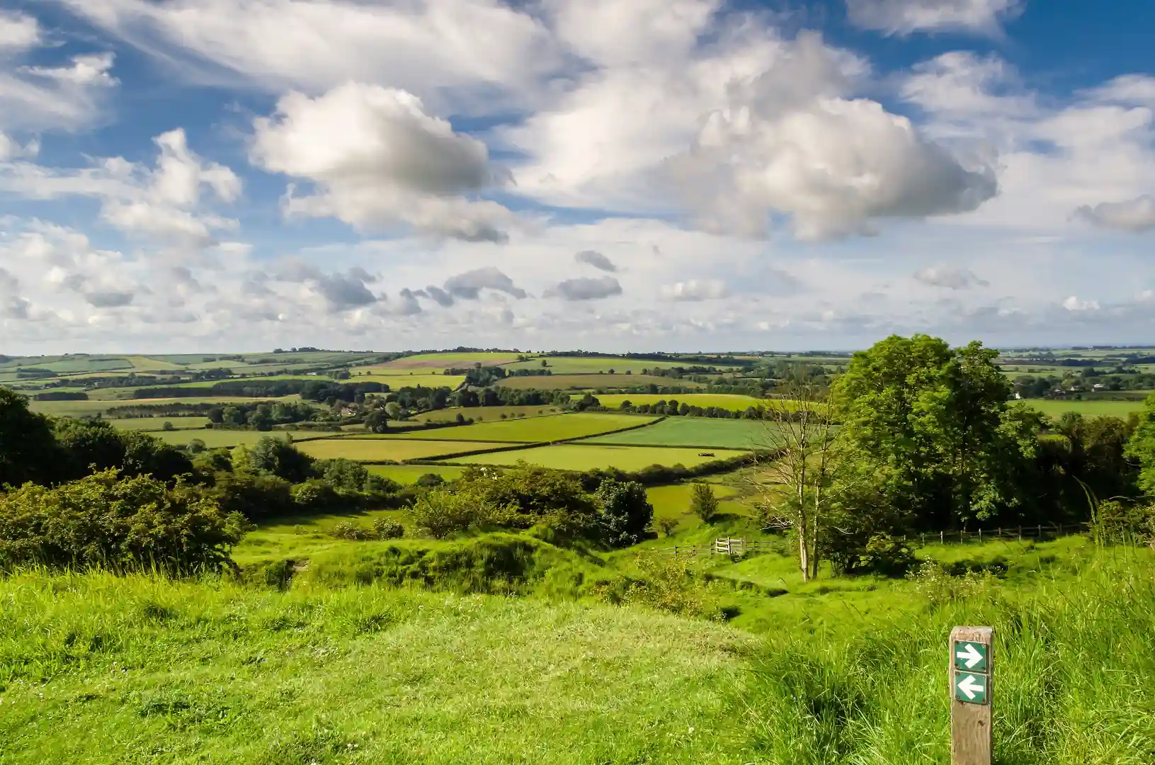 A view across the rolling green hills and farmland of the Lincolnshire Wolds National Landscape, with a walking trail sign in the foreground under a bright sky.