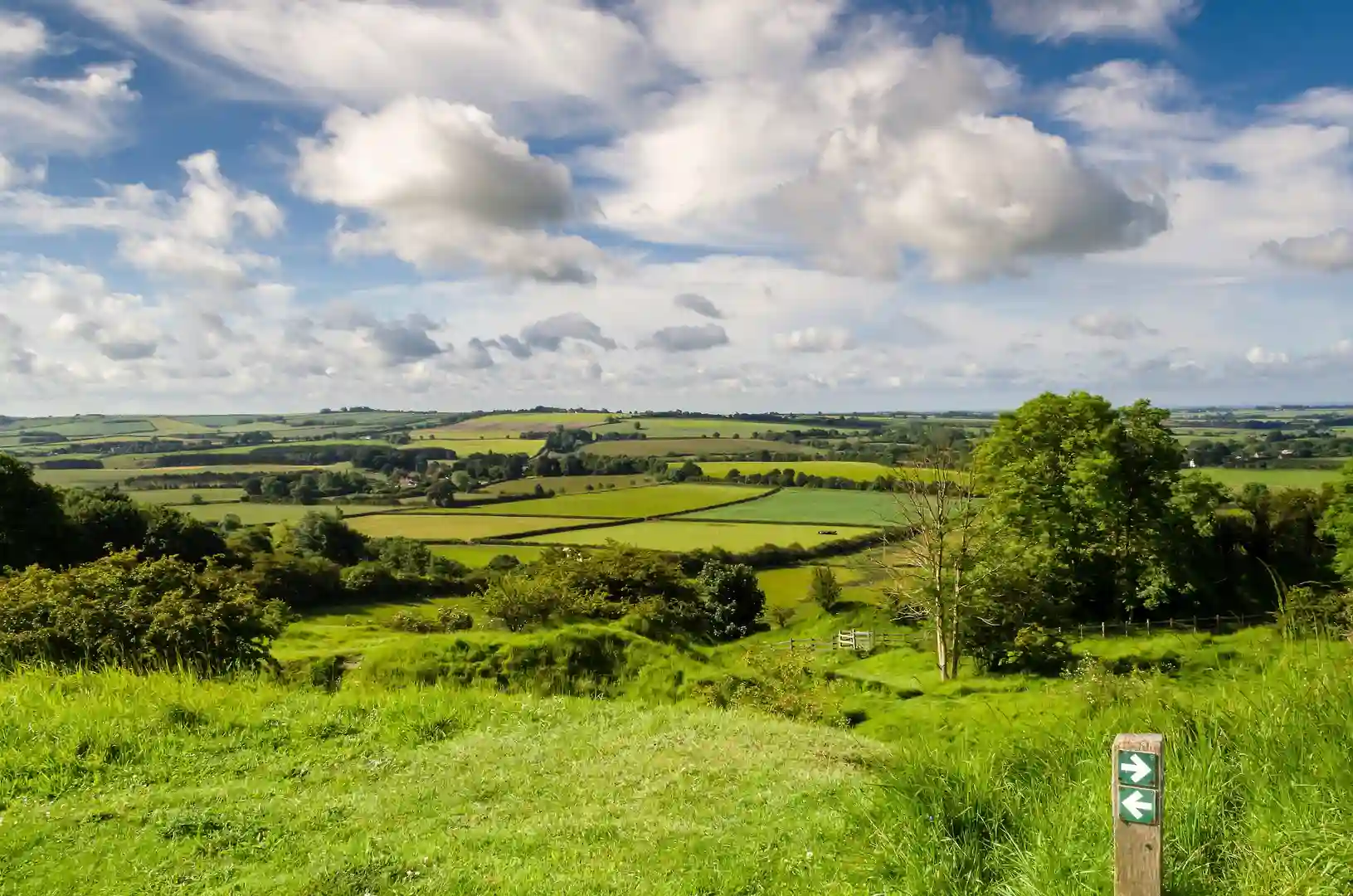 A view across the rolling green hills and farmland of the Lincolnshire Wolds National Landscape, with a walking trail sign in the foreground under a bright sky.