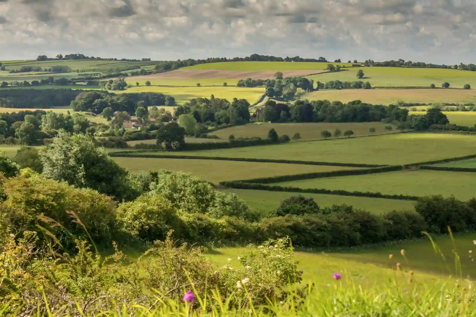 A panoramic view of the rolling green farmland and hedgerows of the Lincolnshire Wolds National Landscape, seen from a hillside overlooking fields and scattered trees under a cloudy summer sky.