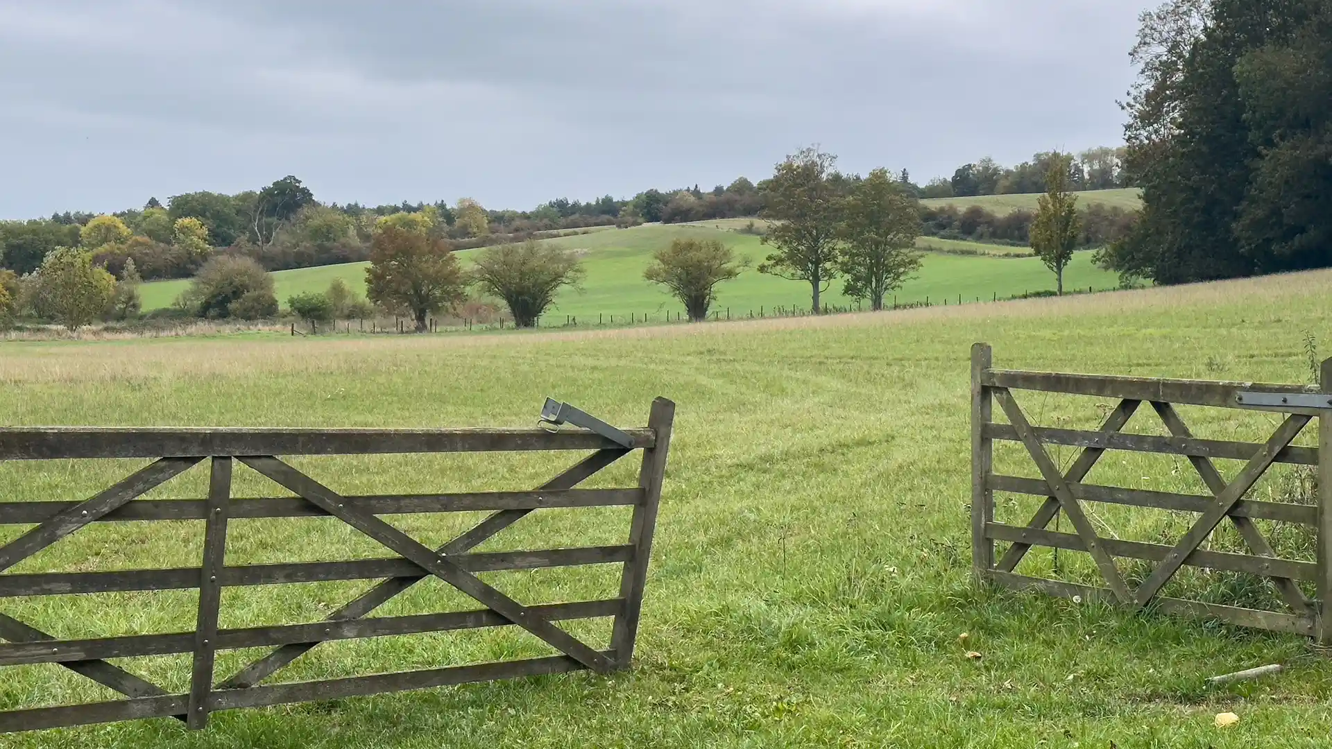 A wide meadow in the Dedham Vale with open gates leading toward rolling green hills, autumn trees, and quiet Suffolk countryside.