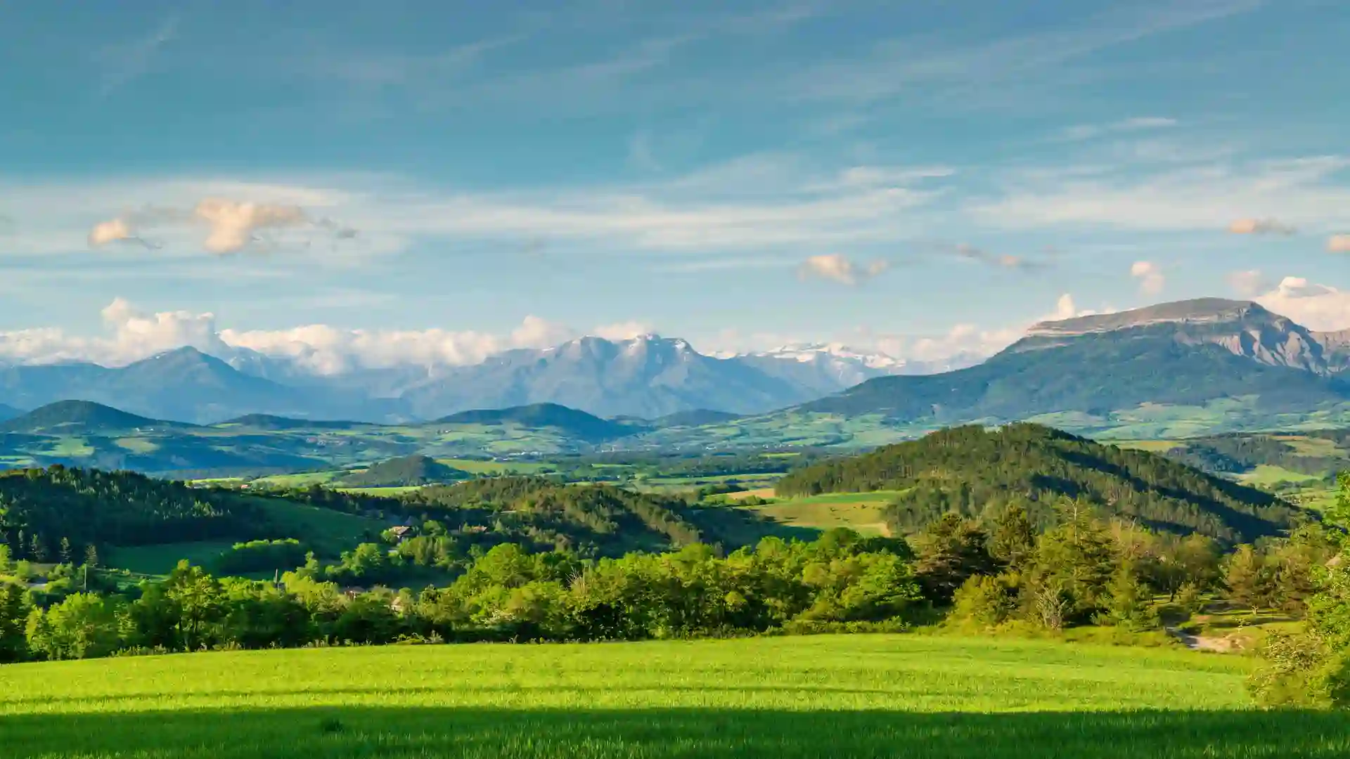 A wide landscape view of the French Alps in Provence, with green valleys, rolling hills, and distant snow-topped mountains under a bright blue sky.