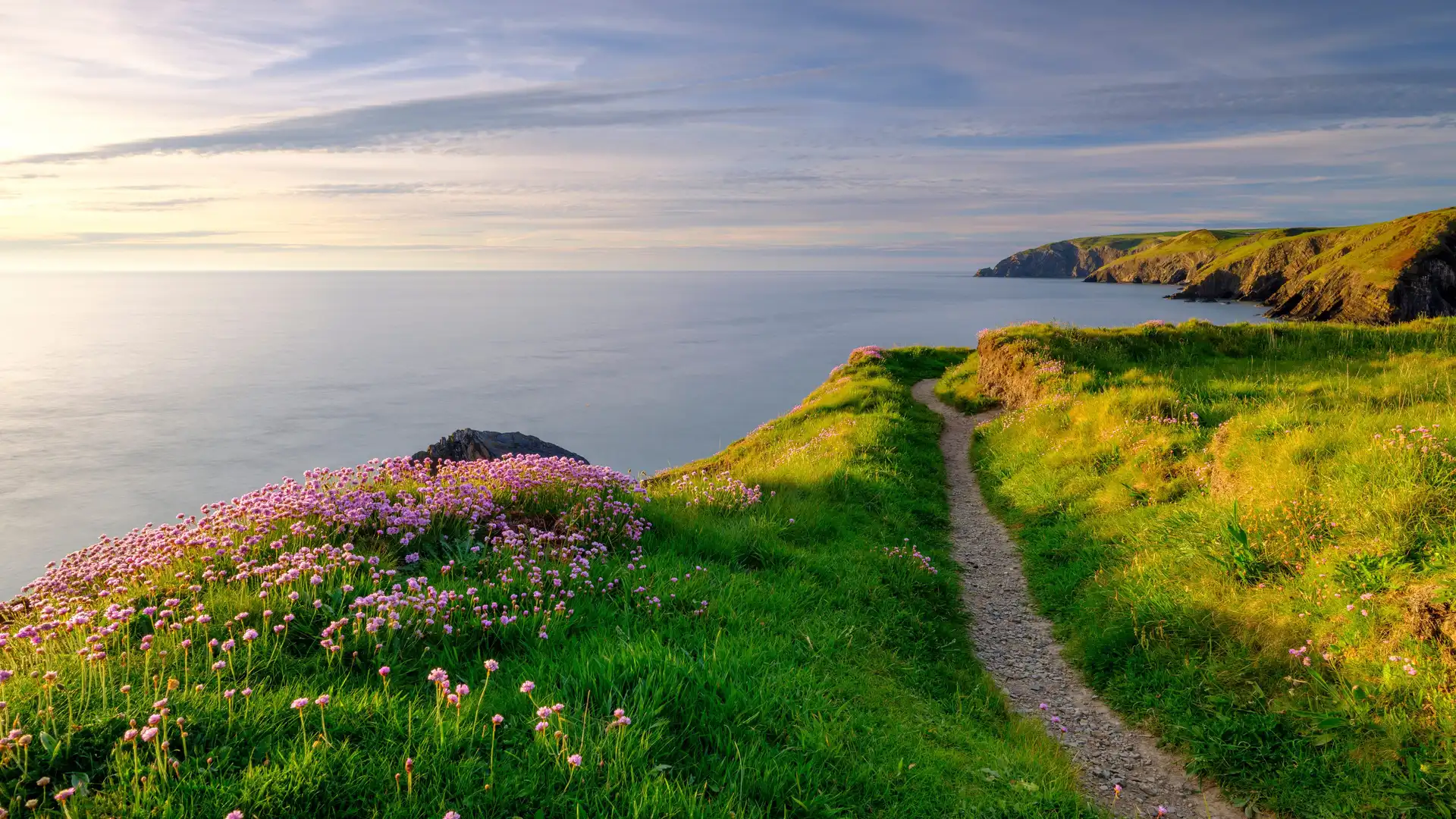 Clifftop walking path along the Pembrokeshire Coast in West Wales, with sea thrift flowers, grassy headlands, and distant cliffs under soft evening light.
