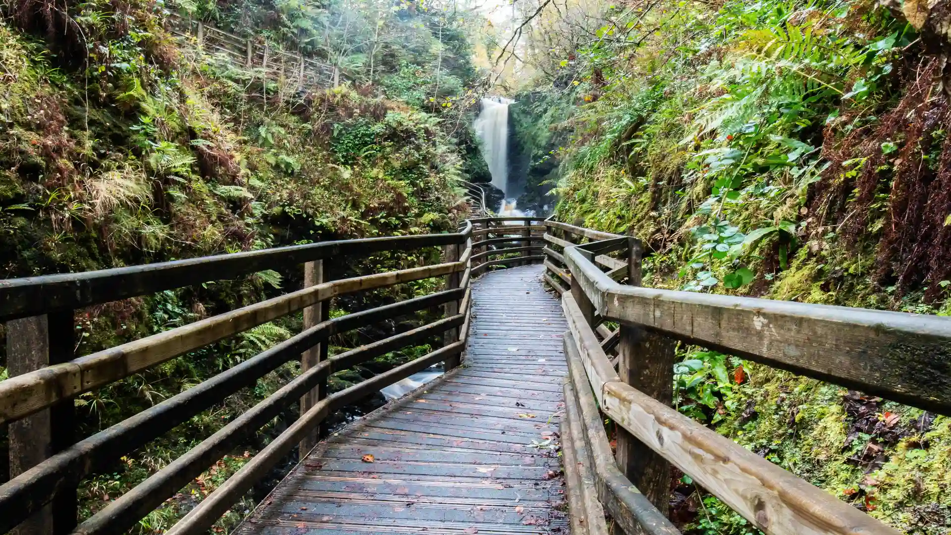 Boardwalk through lush forest leading to a waterfall in Glenariff Forest Park, one of the scenic Glens of Antrim in Northern Ireland.