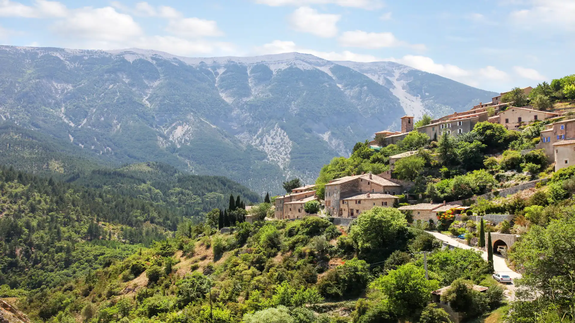Wildflower-rich hay meadow in Barrowburn, Coquetdale, with rolling hills of the Cheviot range in Northumberland National Park under clear summer skies.