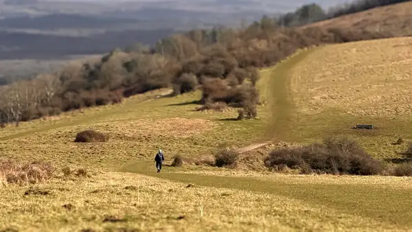 Walker on the South Downs Way crossing rolling chalk hills in the South Downs National Park.